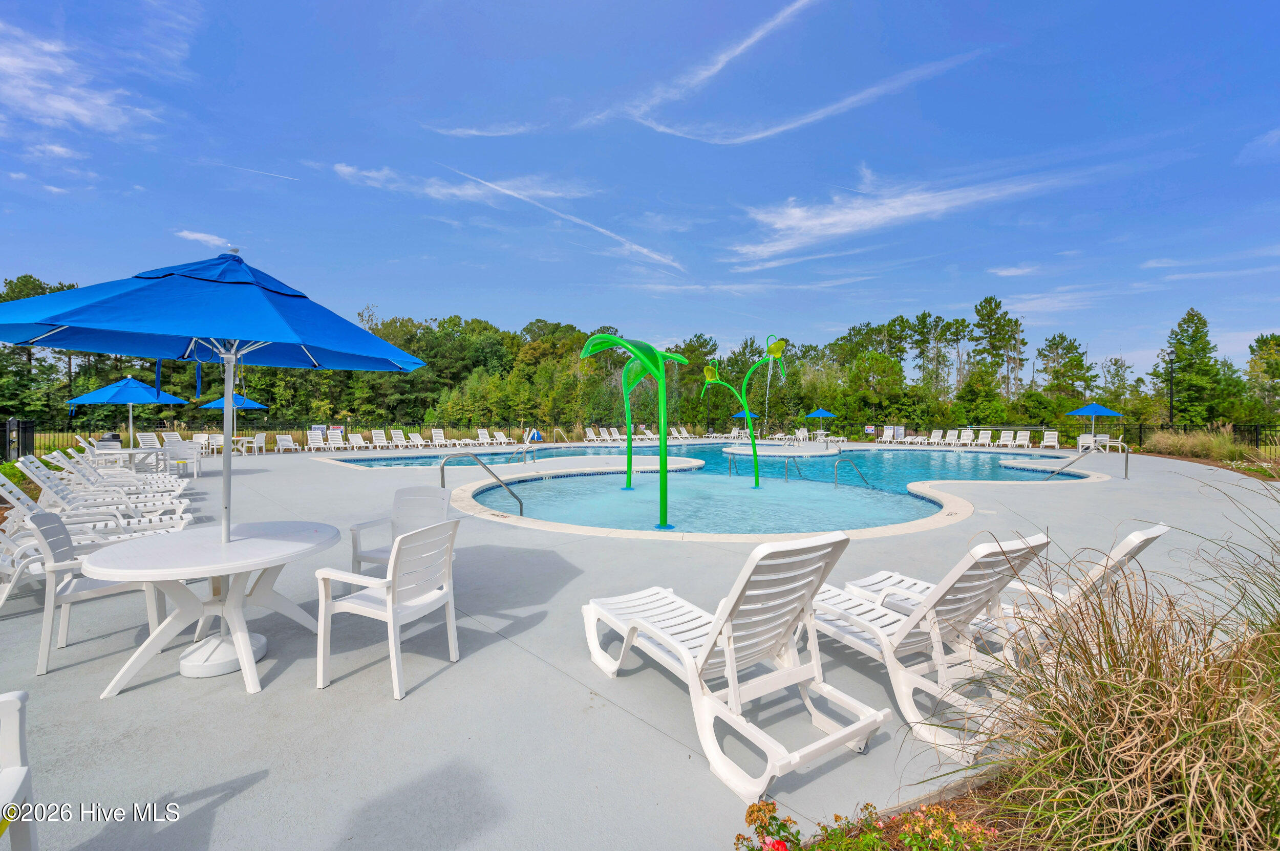 100547257 | Photo 65