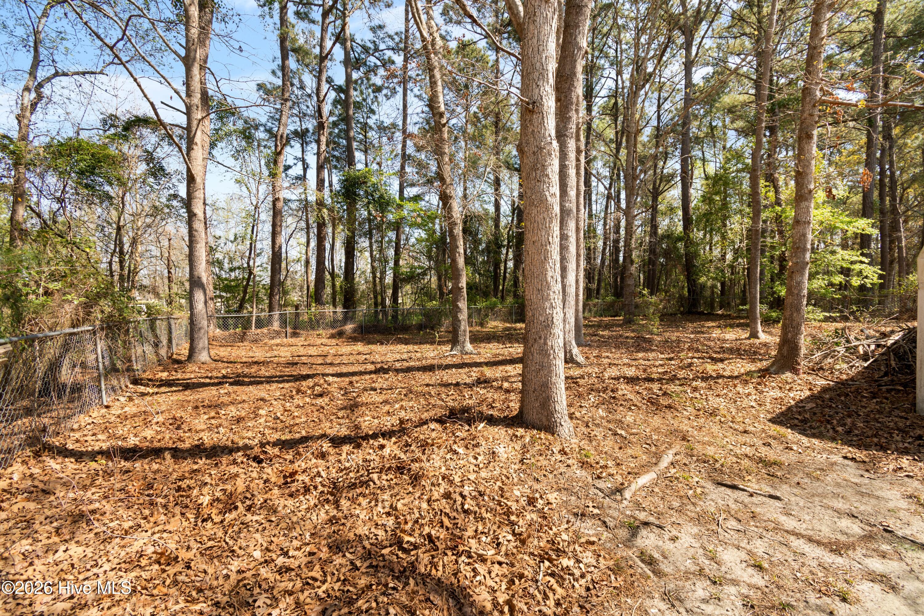 100562526 | Photo 16