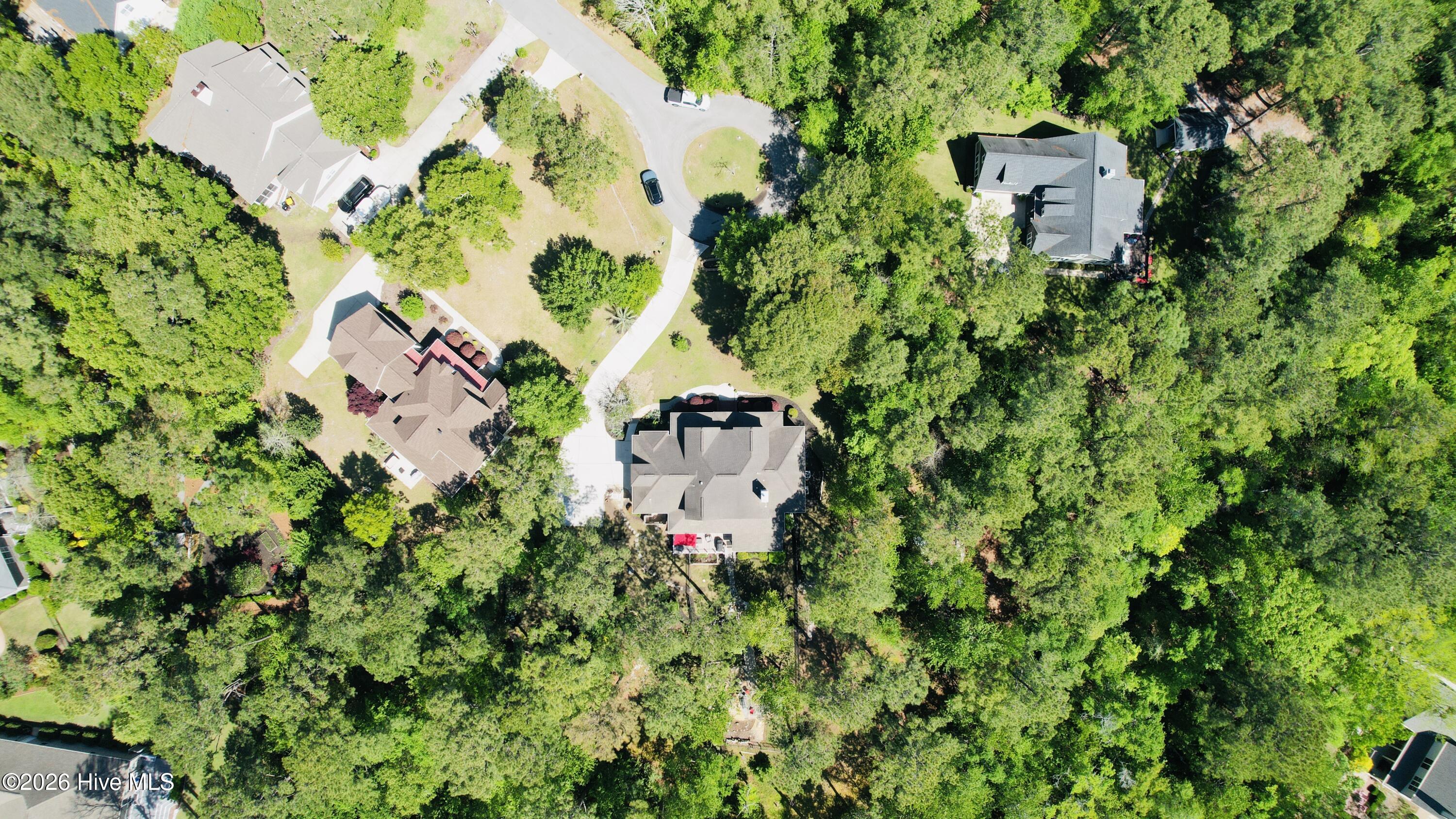 100568961 | Photo 97