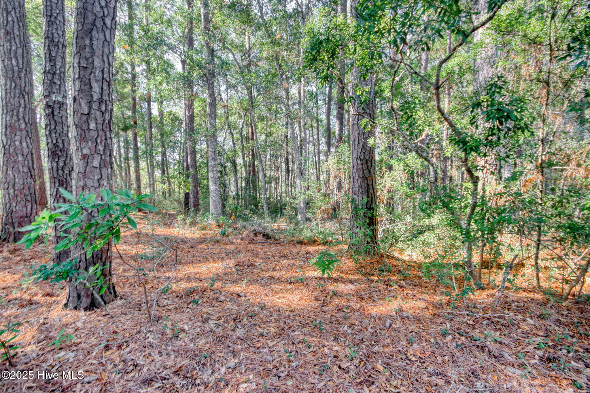 100566005 | Photo 19