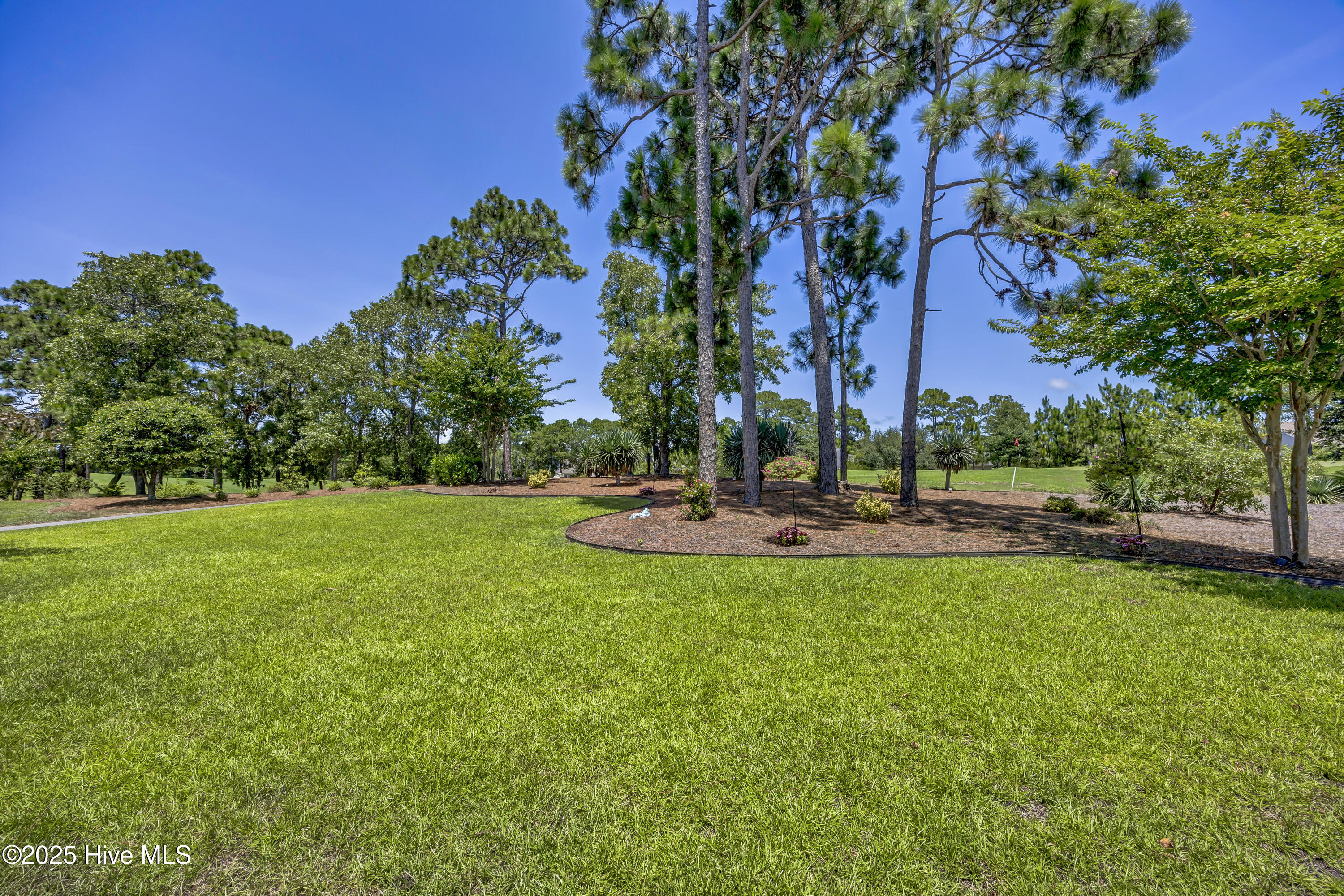 100519414 | Photo 53