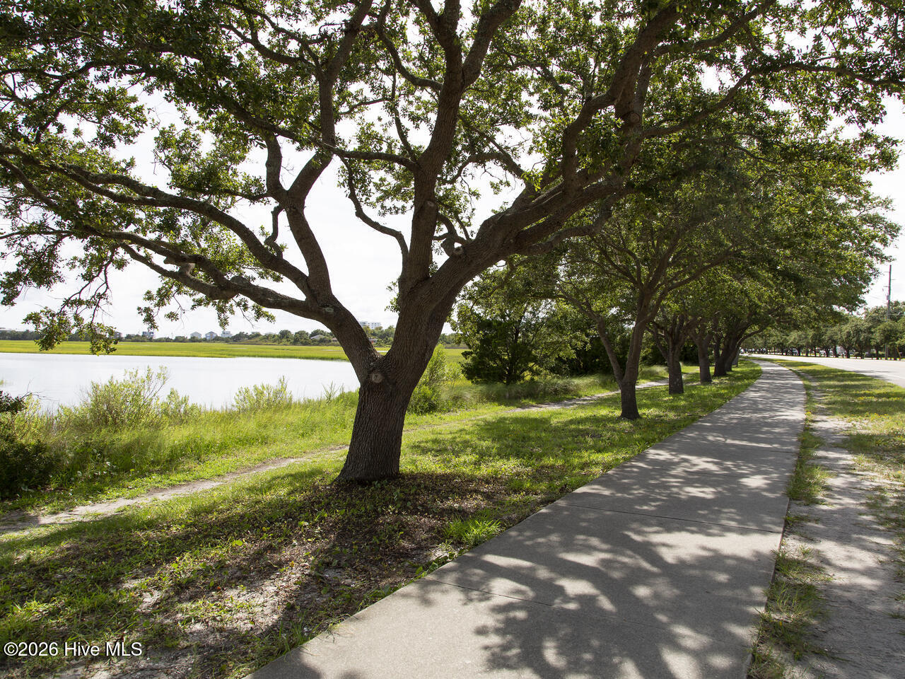 100562897 | Photo 38