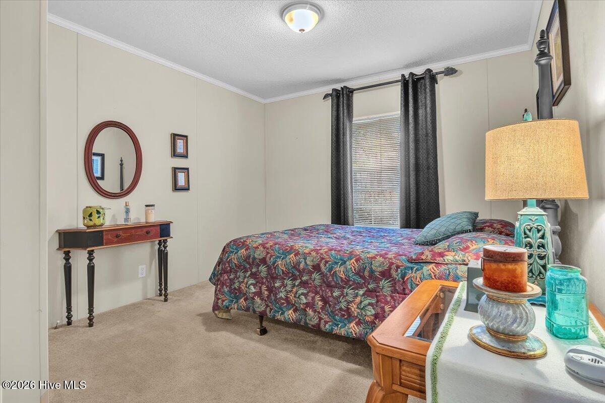 100554513 | Photo 38