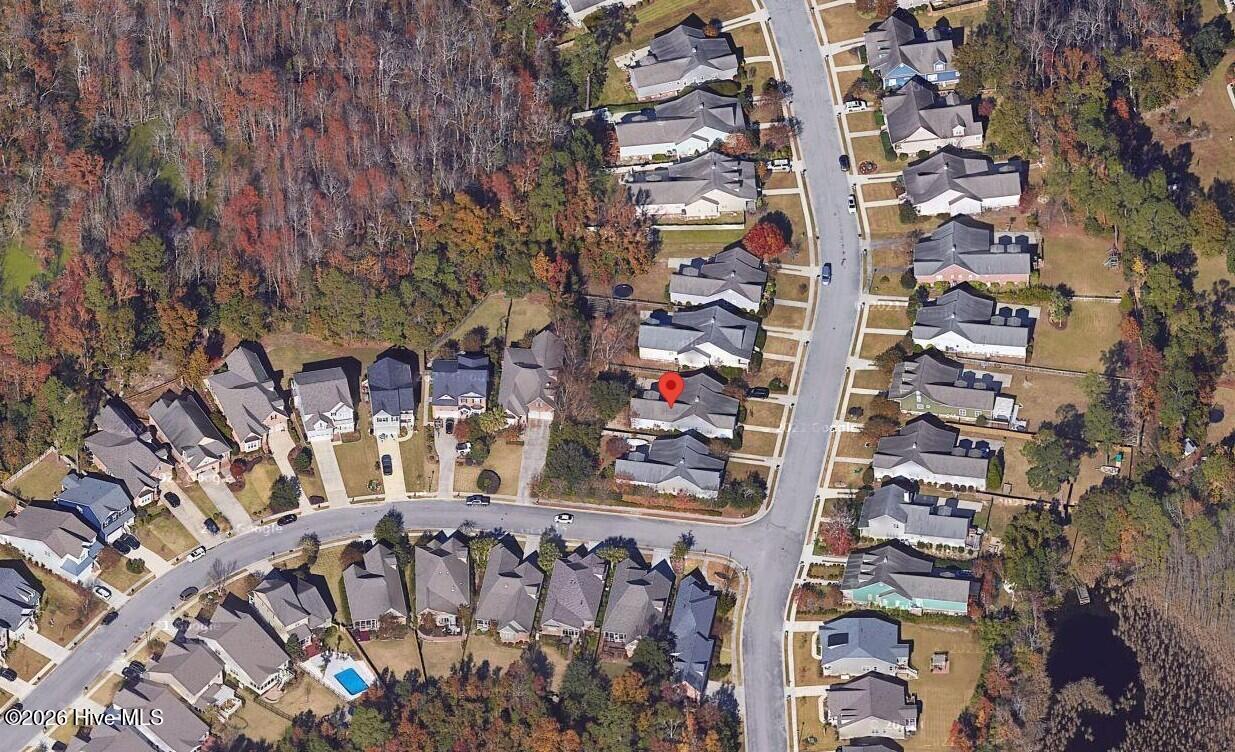 100564524 | Photo 70