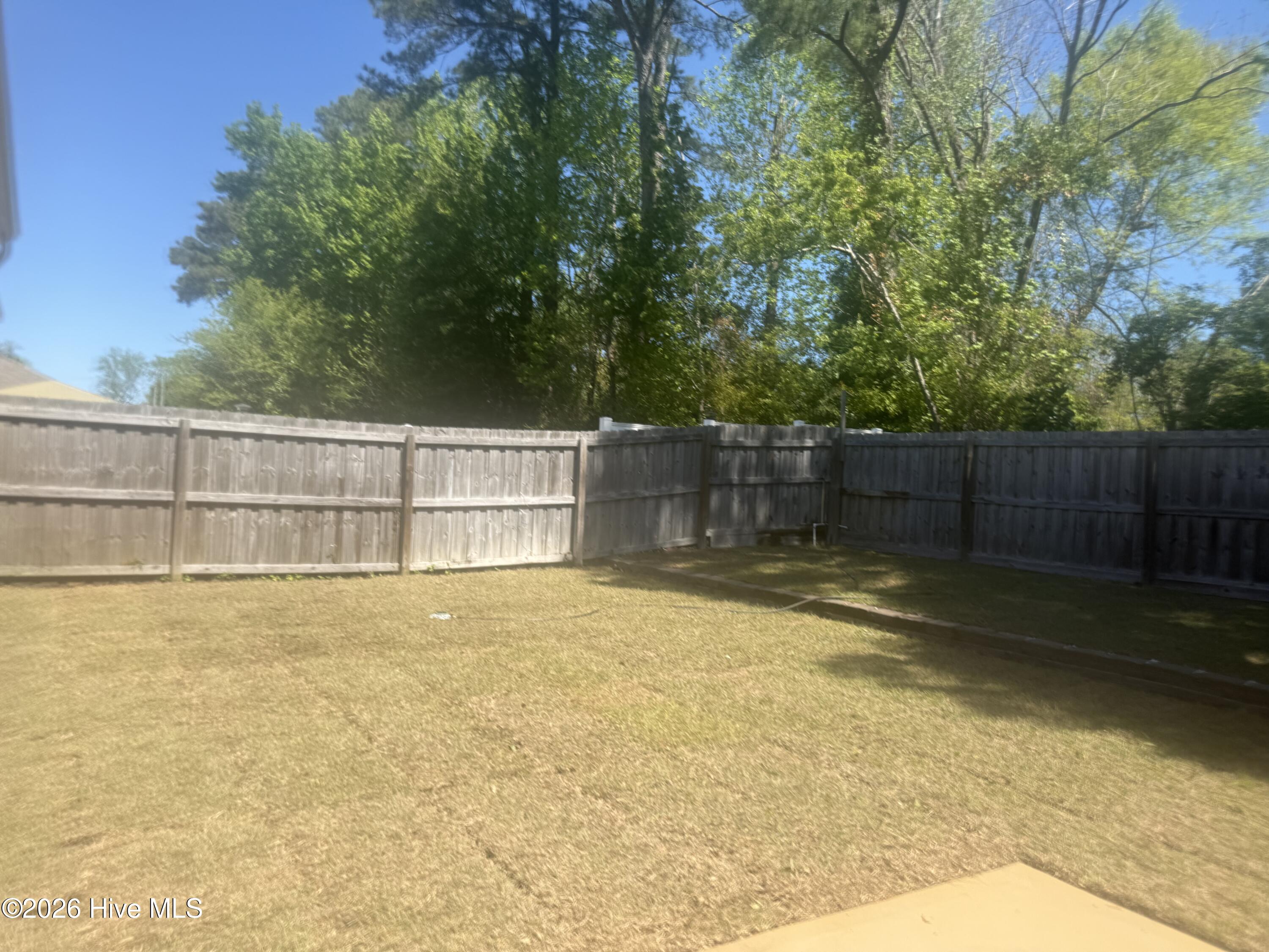 100551981 | Photo 20