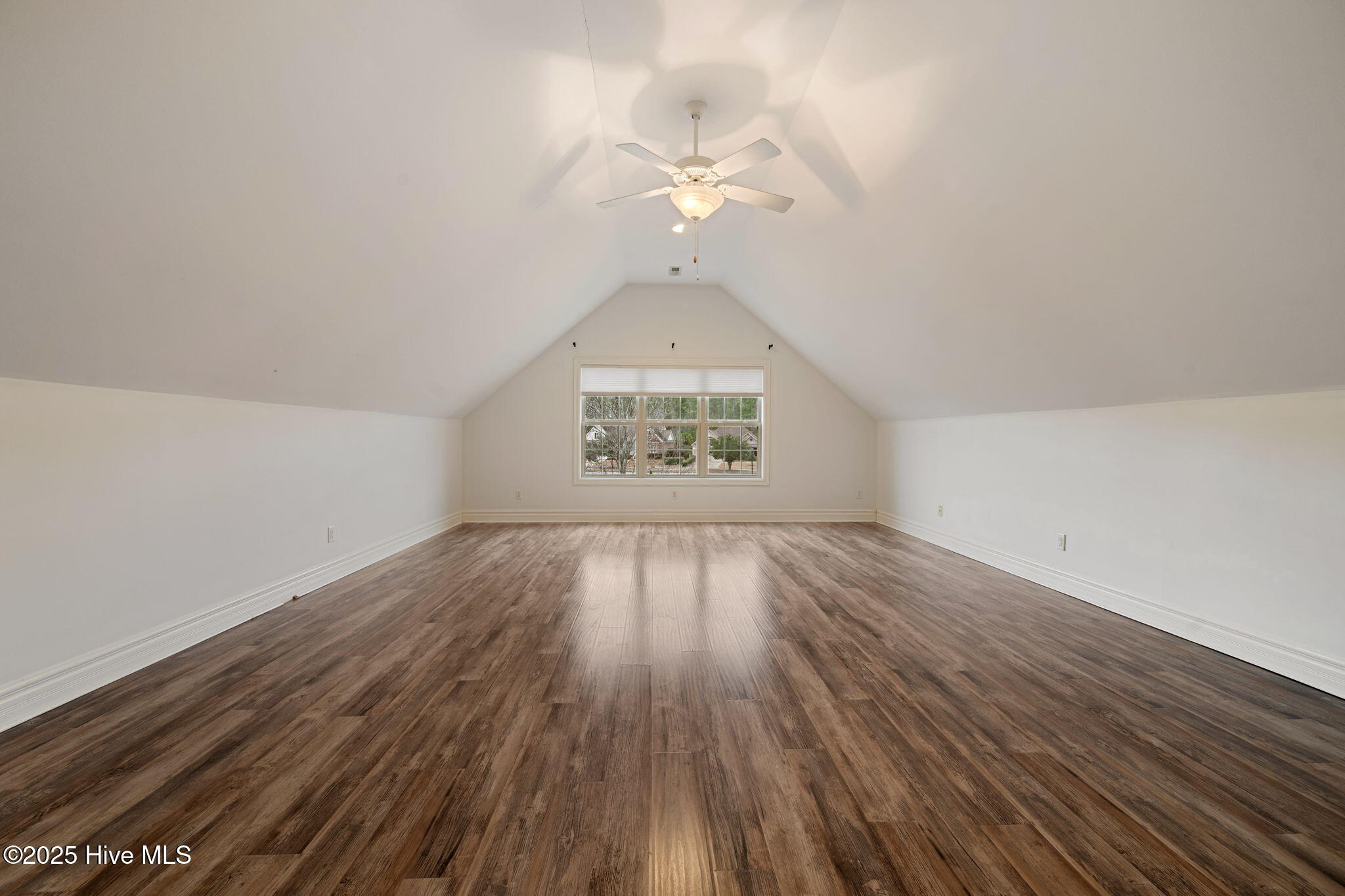 100546164 | Photo 34