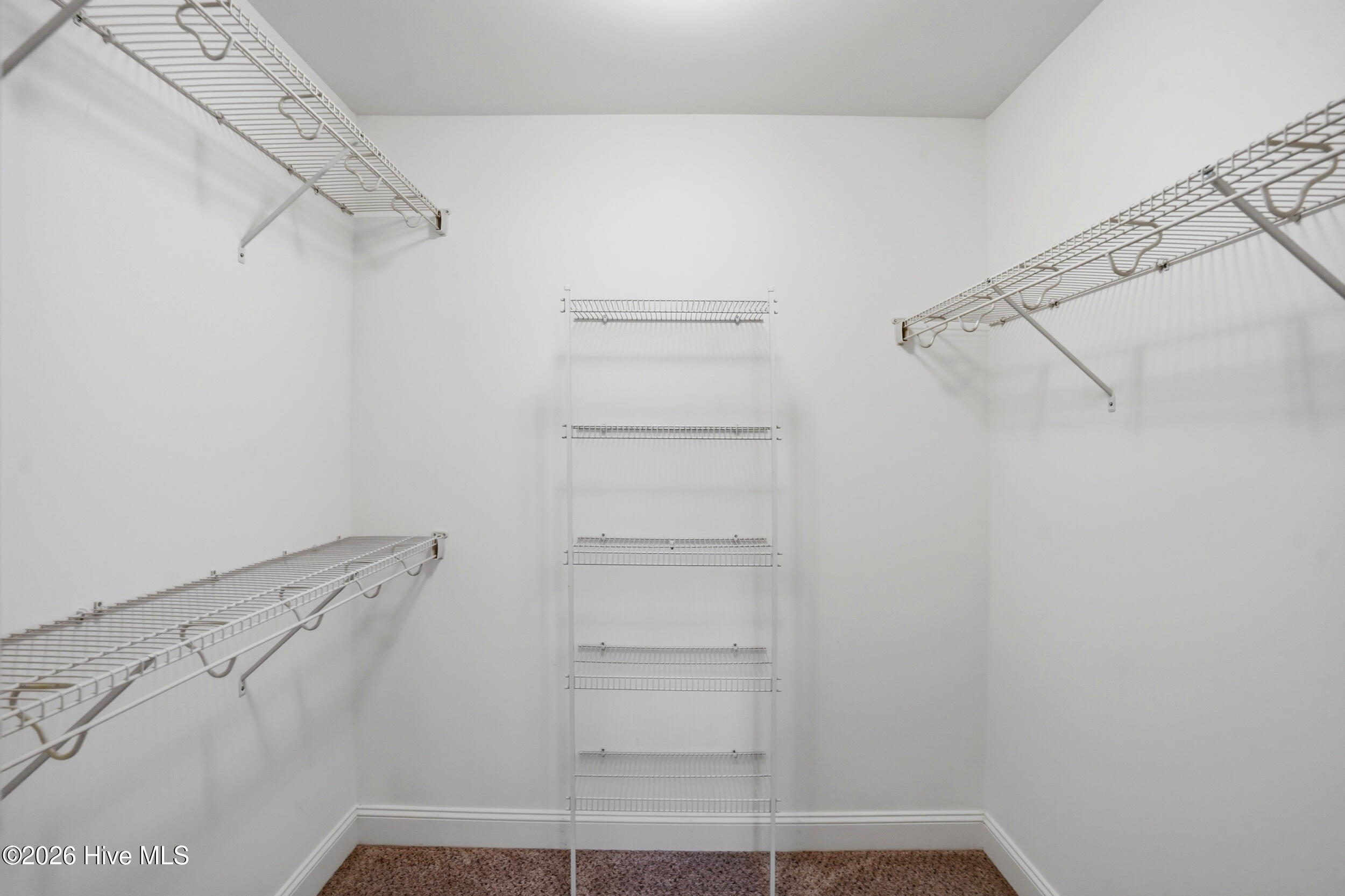 100564598 | Photo 19