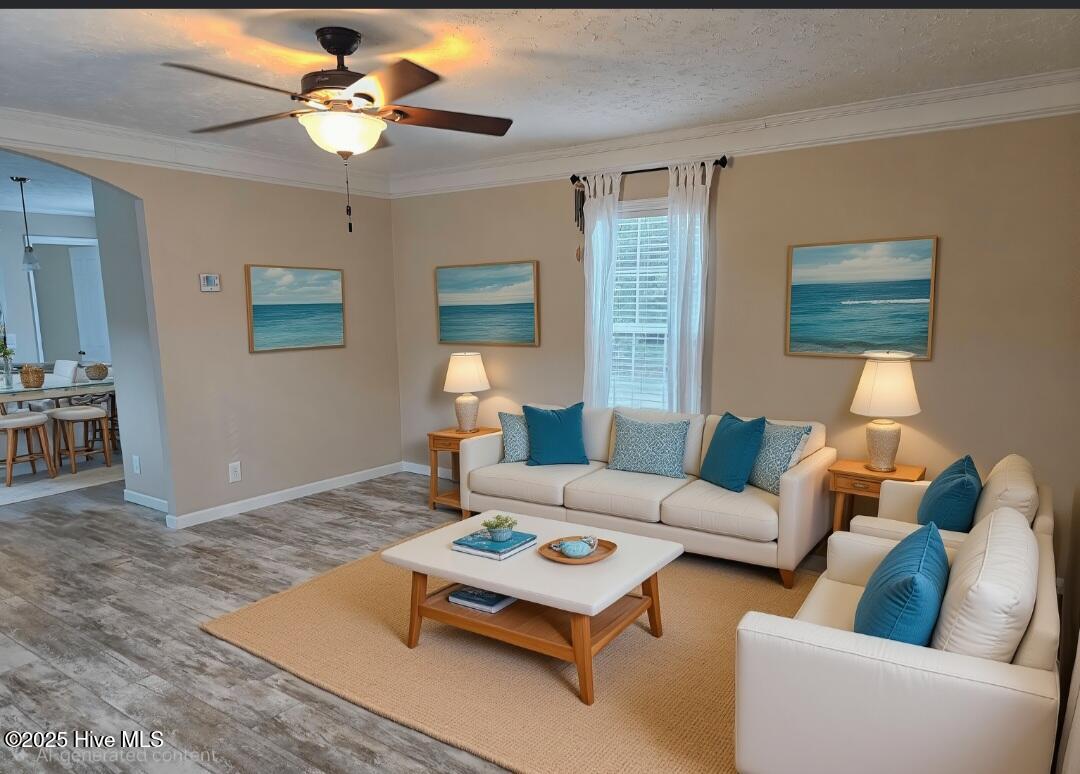 100535573 | Photo 28