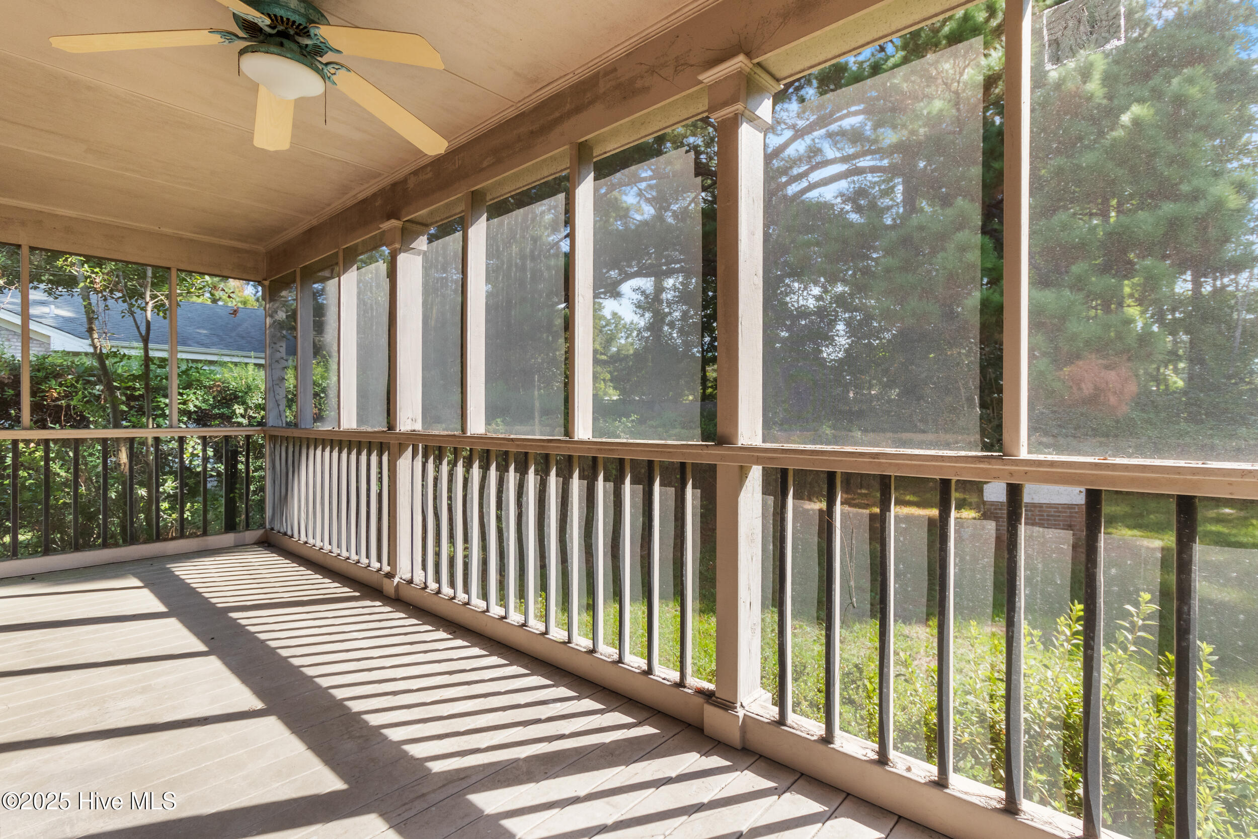 100535296 | Photo 30