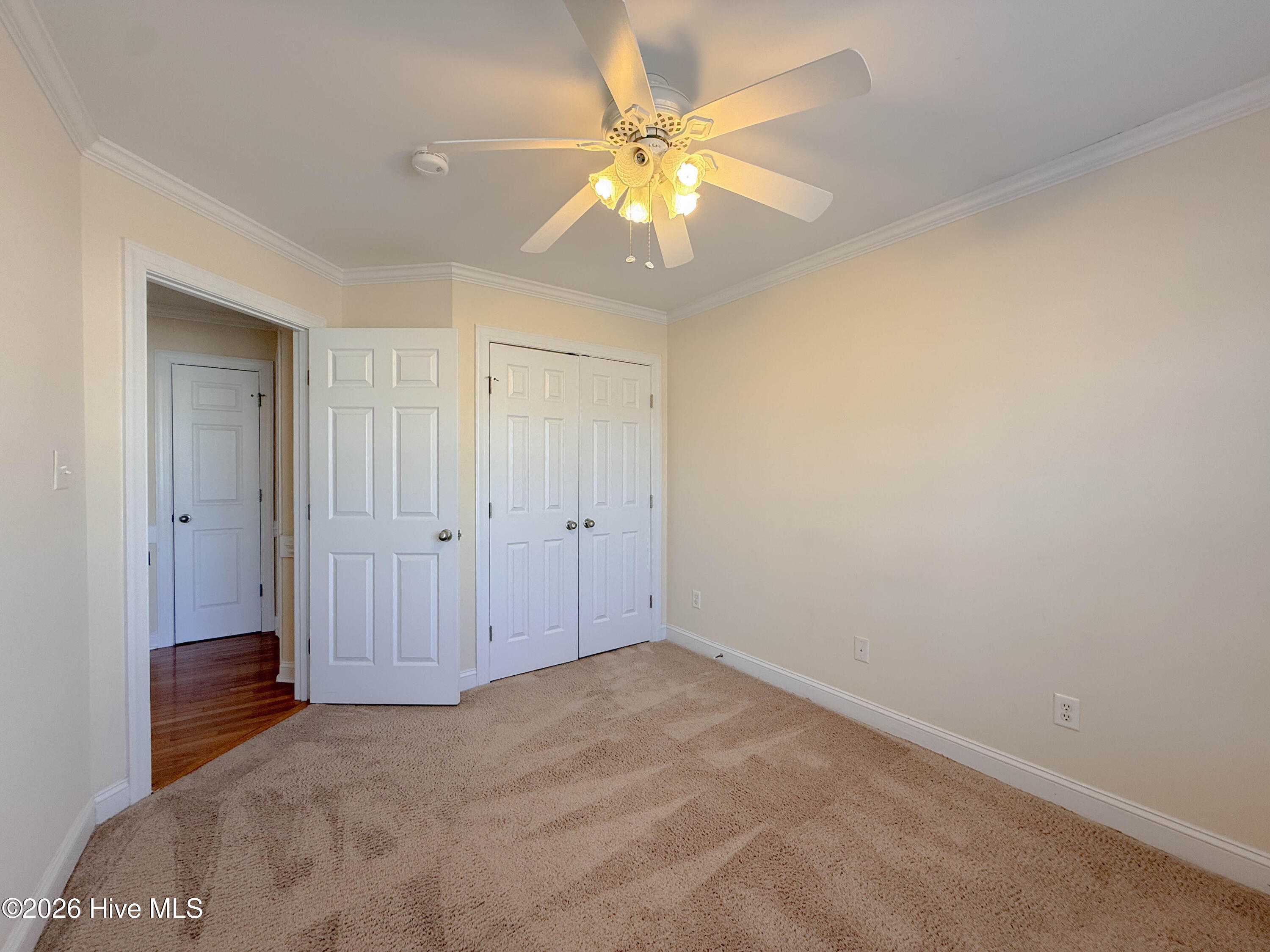 100554252 | Photo 37