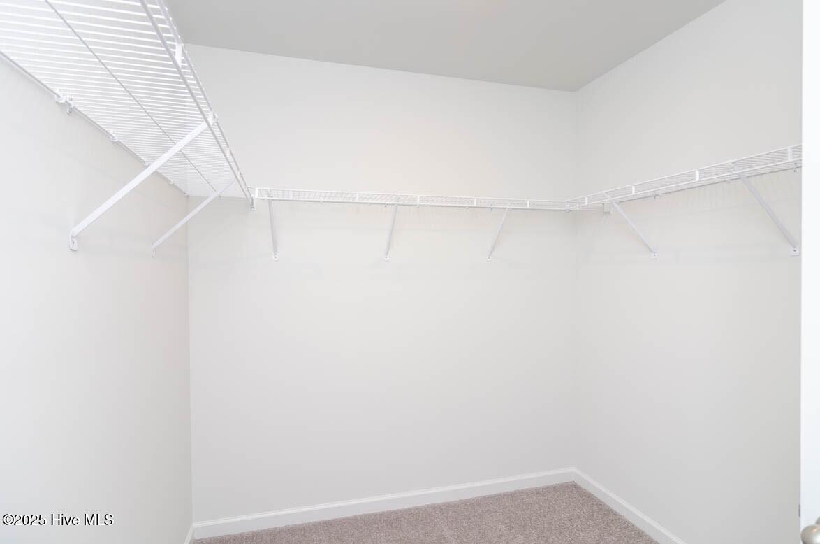 100560610 | Photo 16