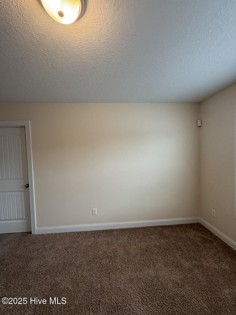 100546507 | Photo 24