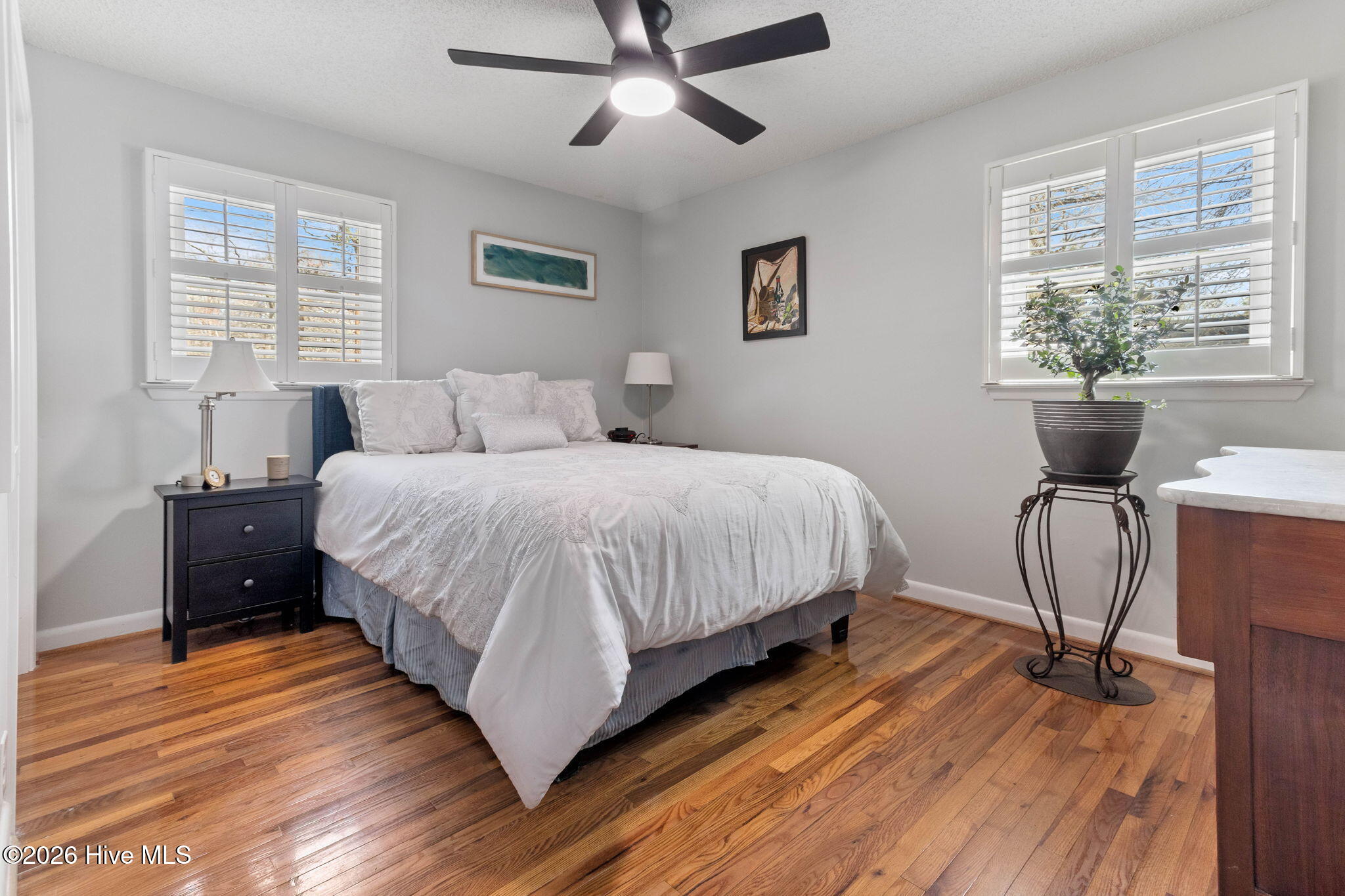 100556969 | Photo 25