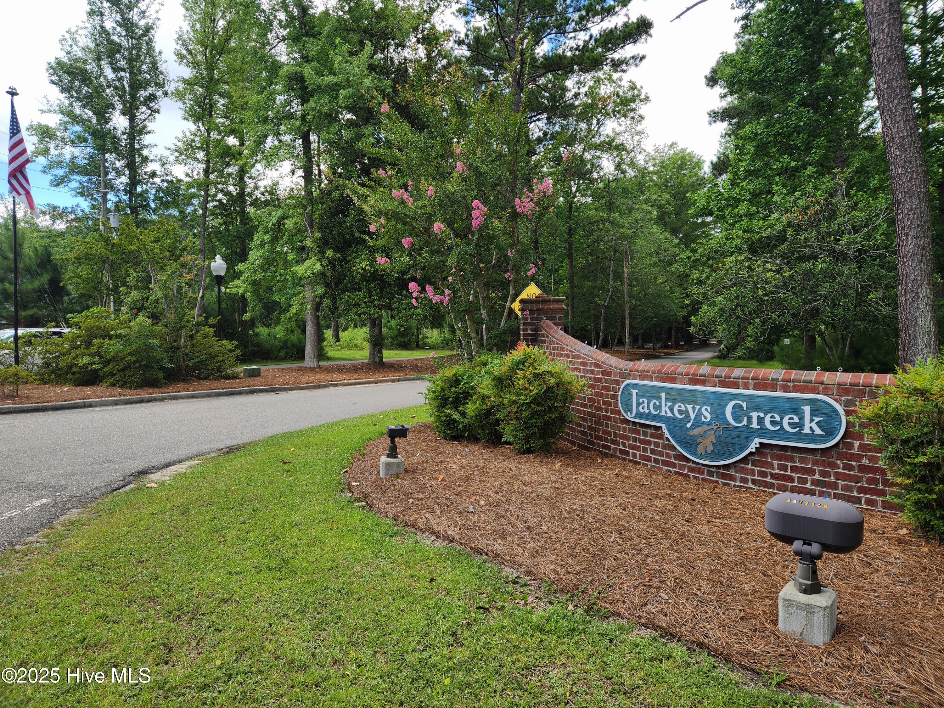 100517489 | Photo 50