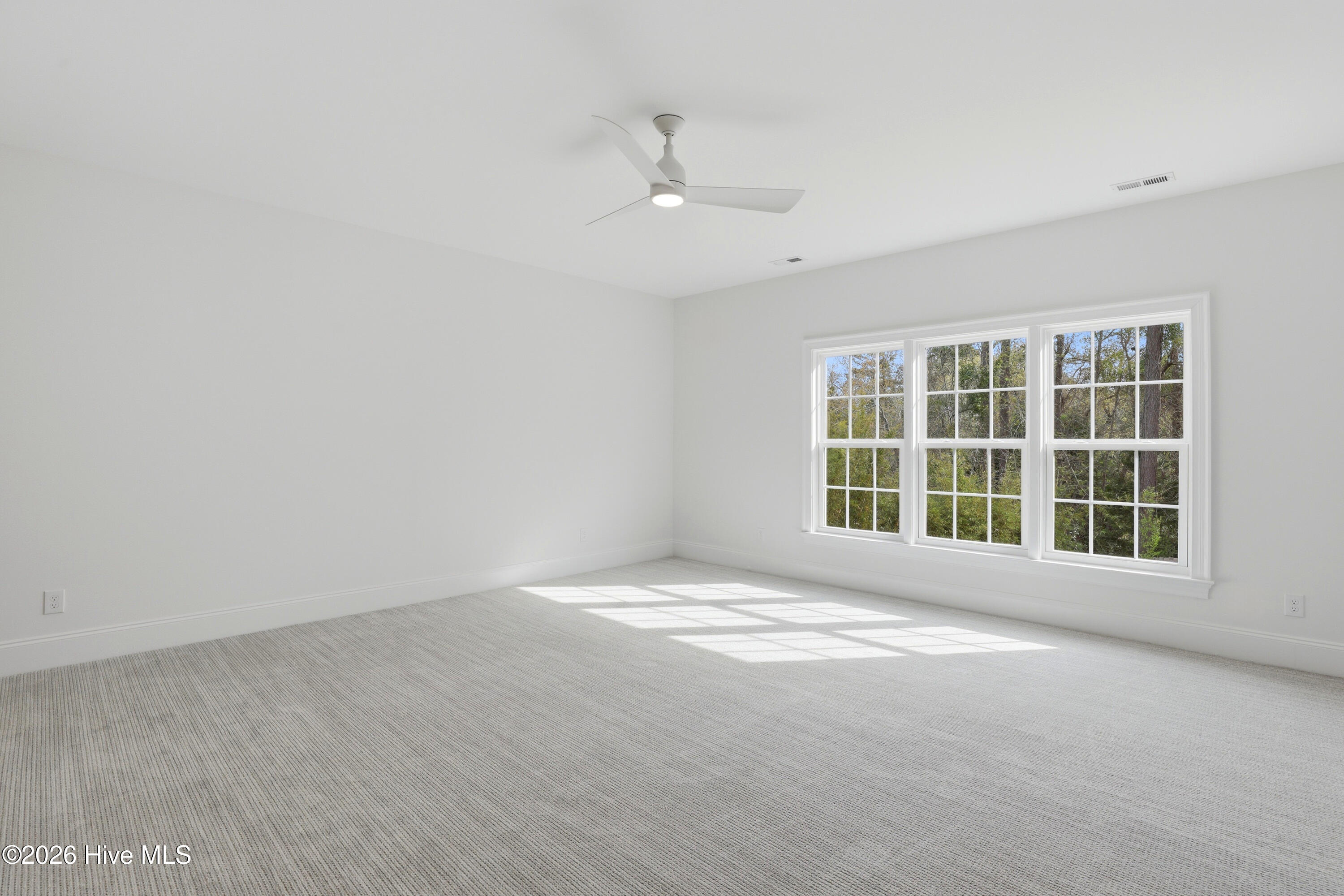 100562697 | Photo 39