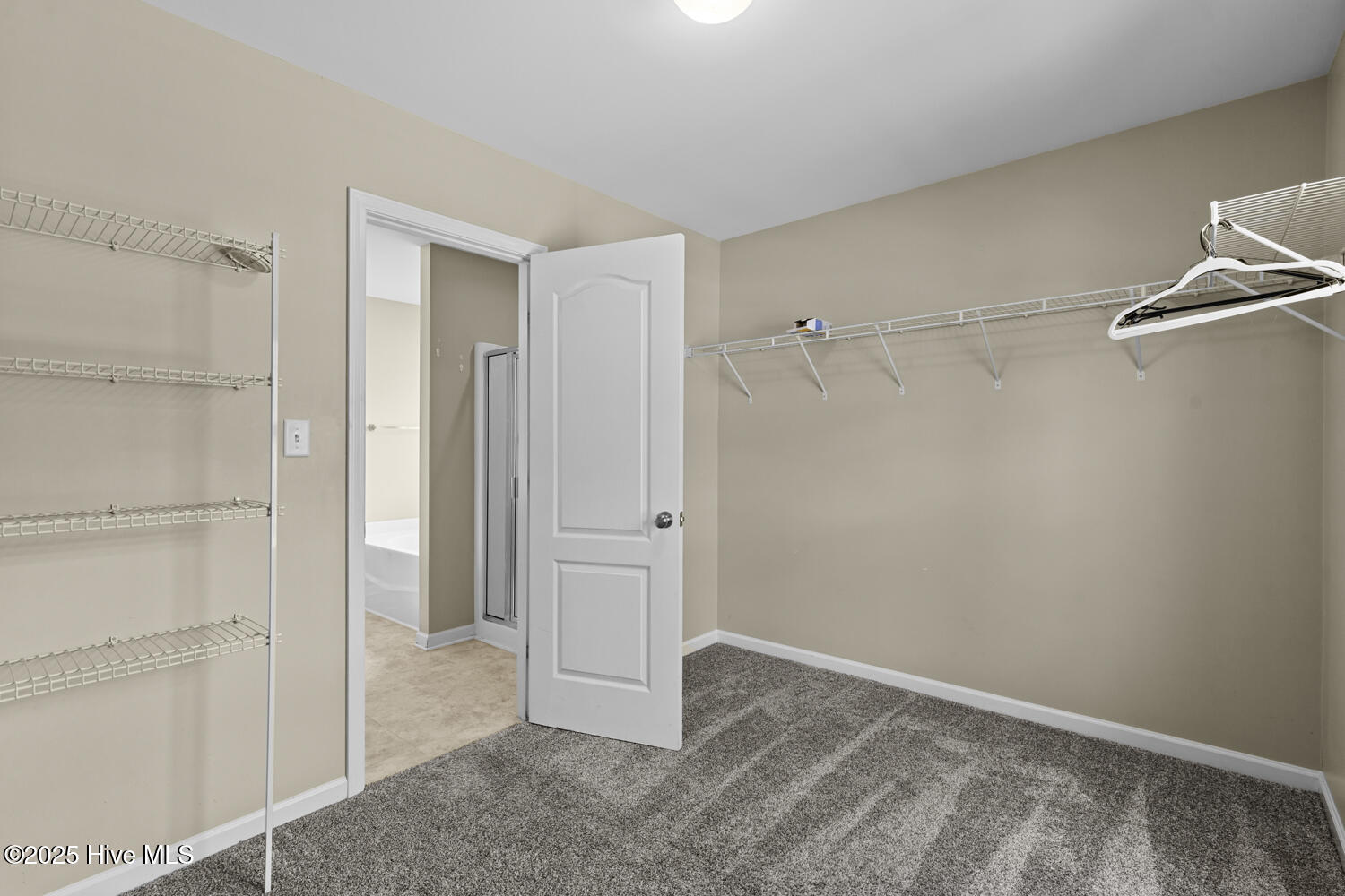 100506336 | Photo 25