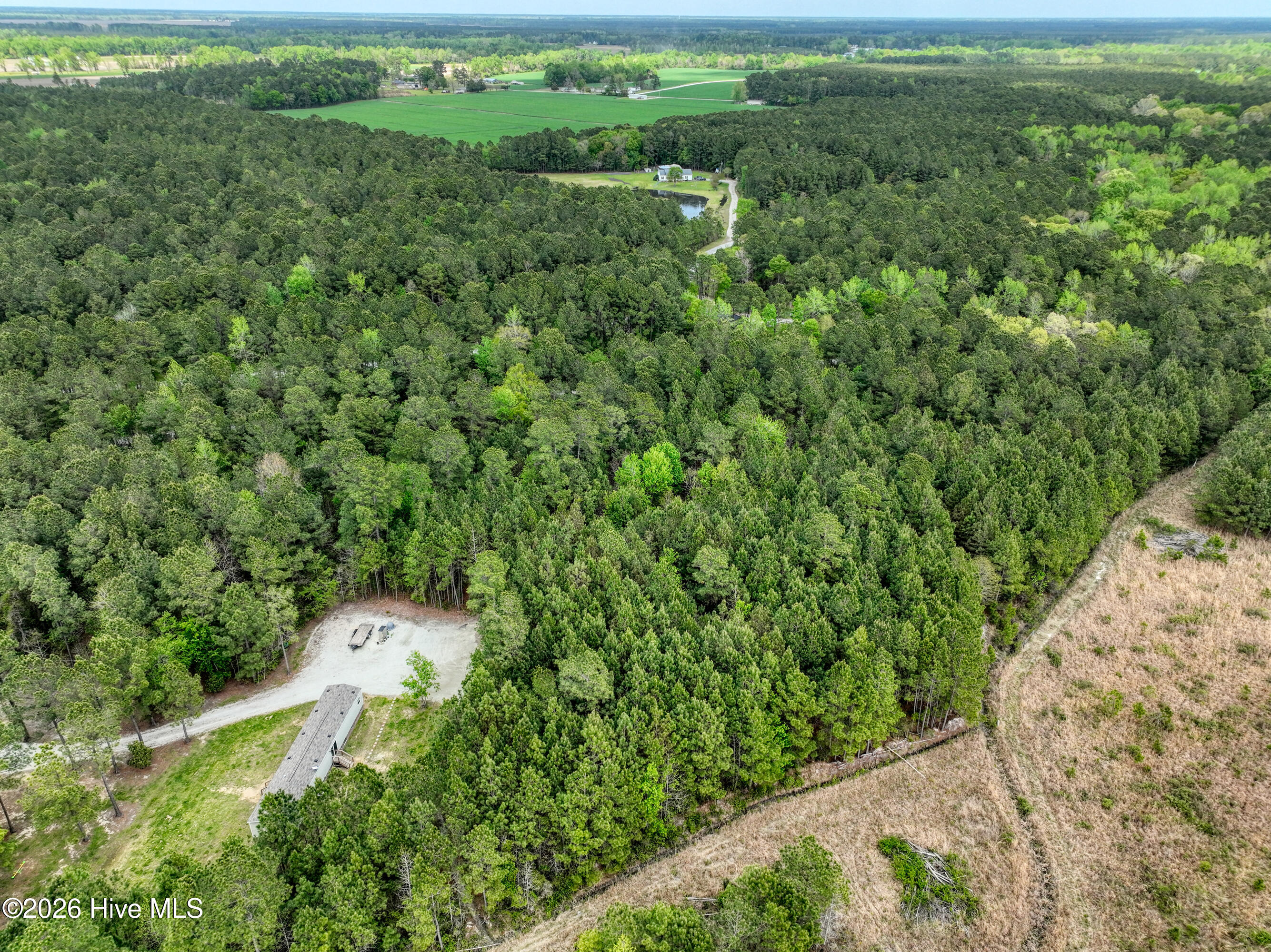 100566814 | Photo 45