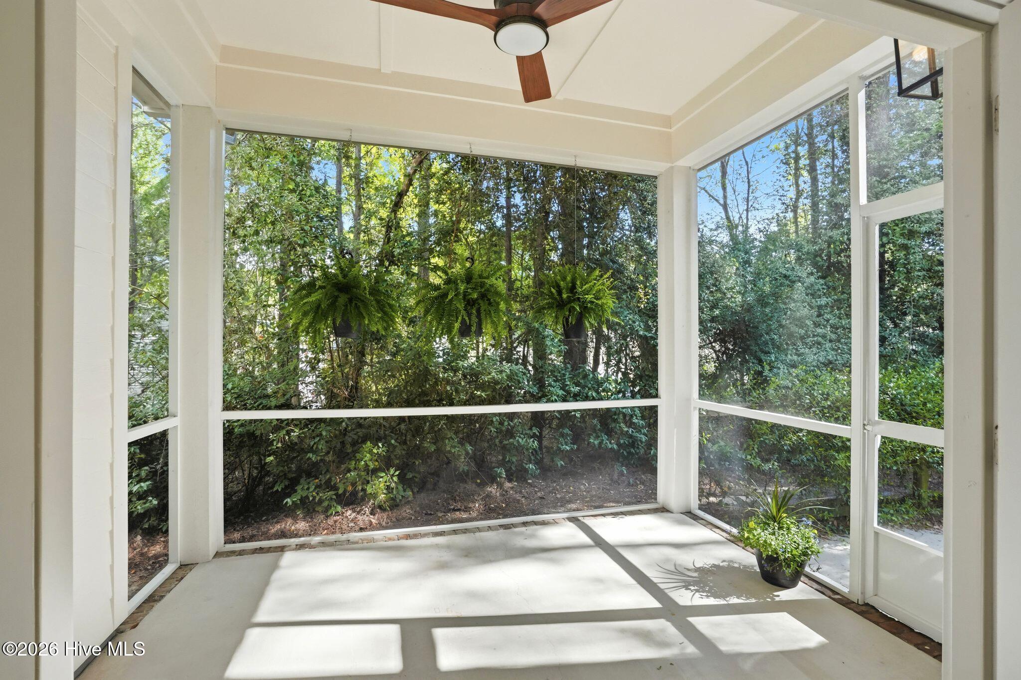 100565220 | Photo 49