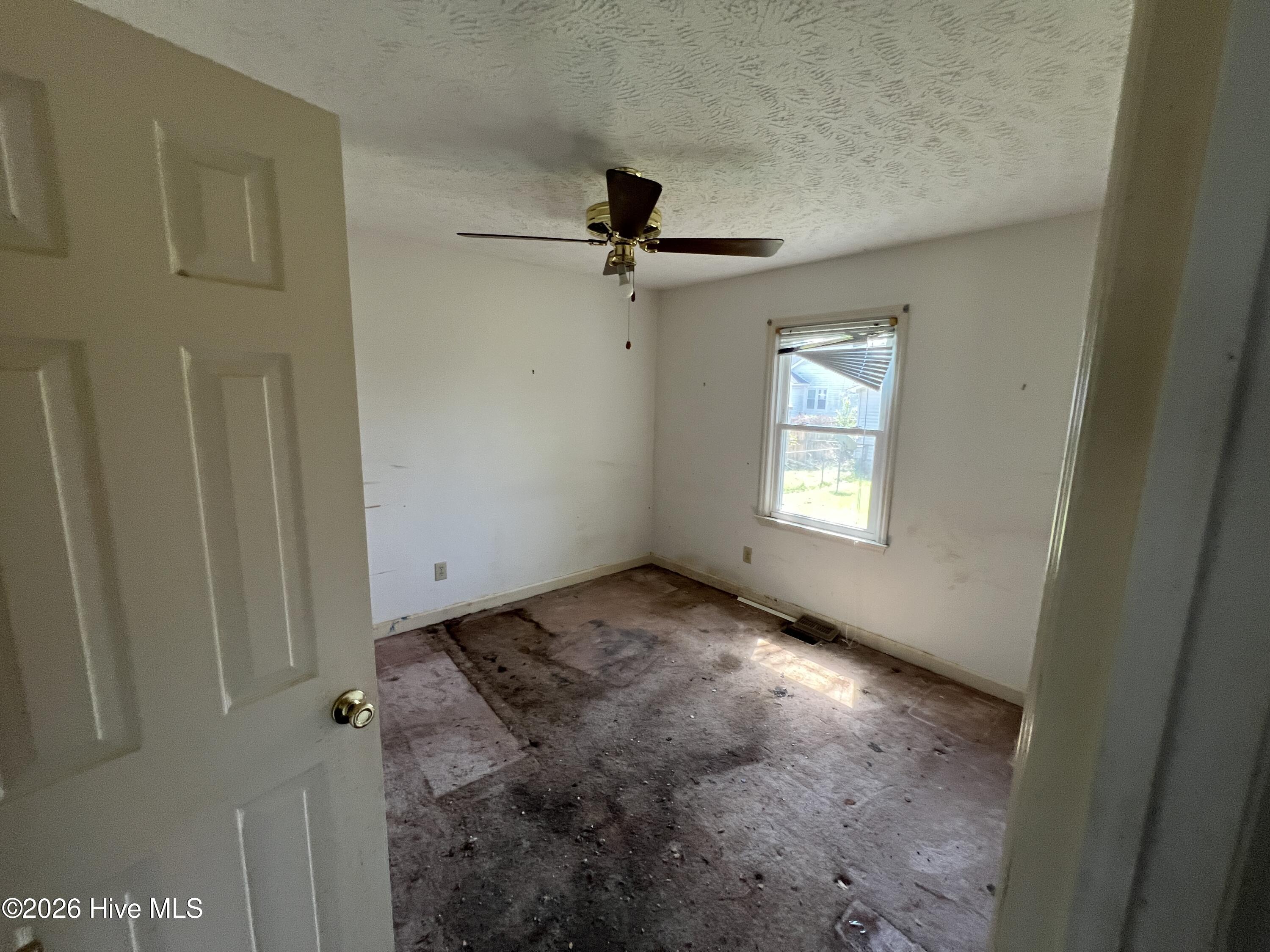 100555169 | Photo 12