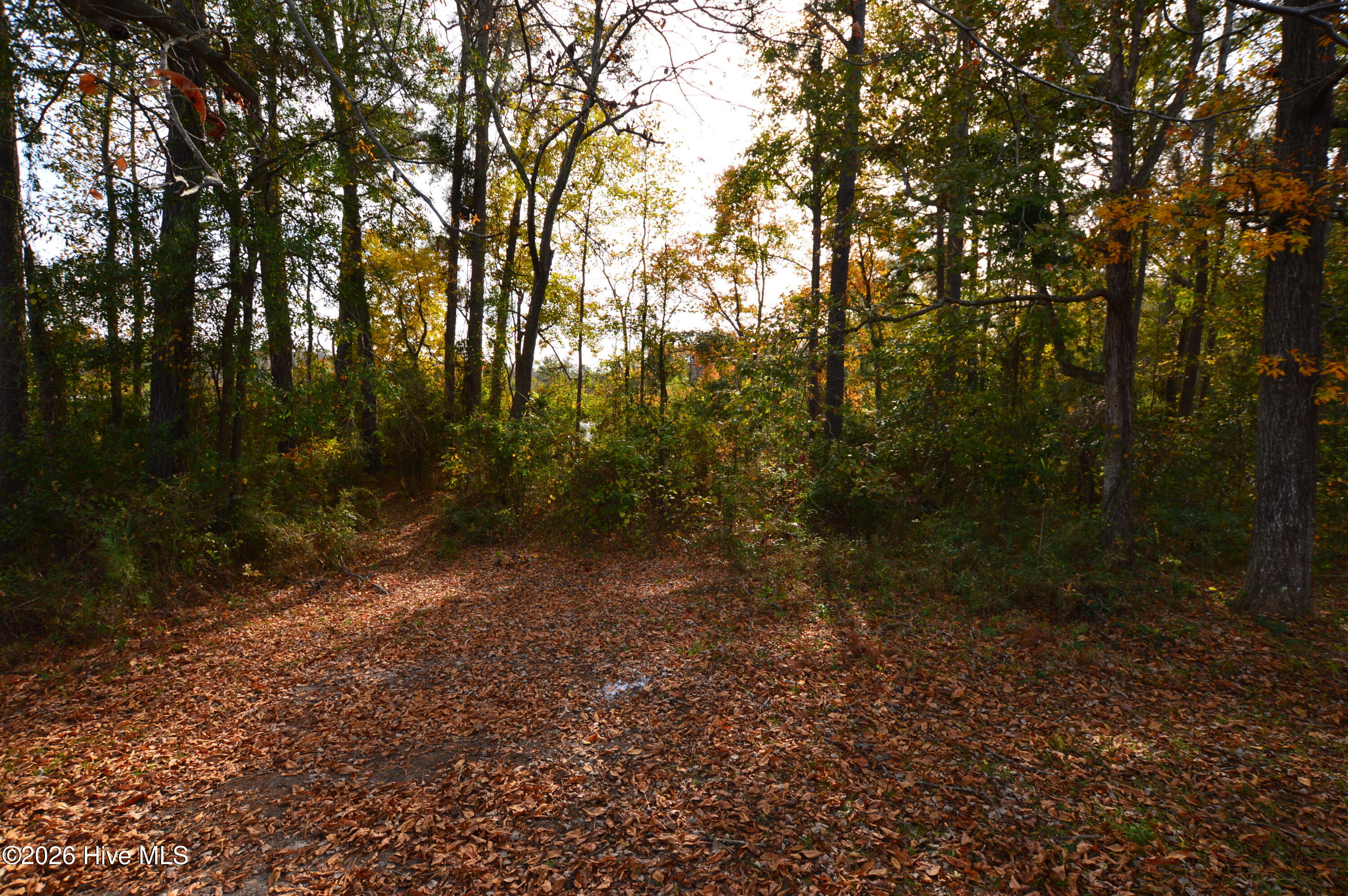 100549186 | Photo 14