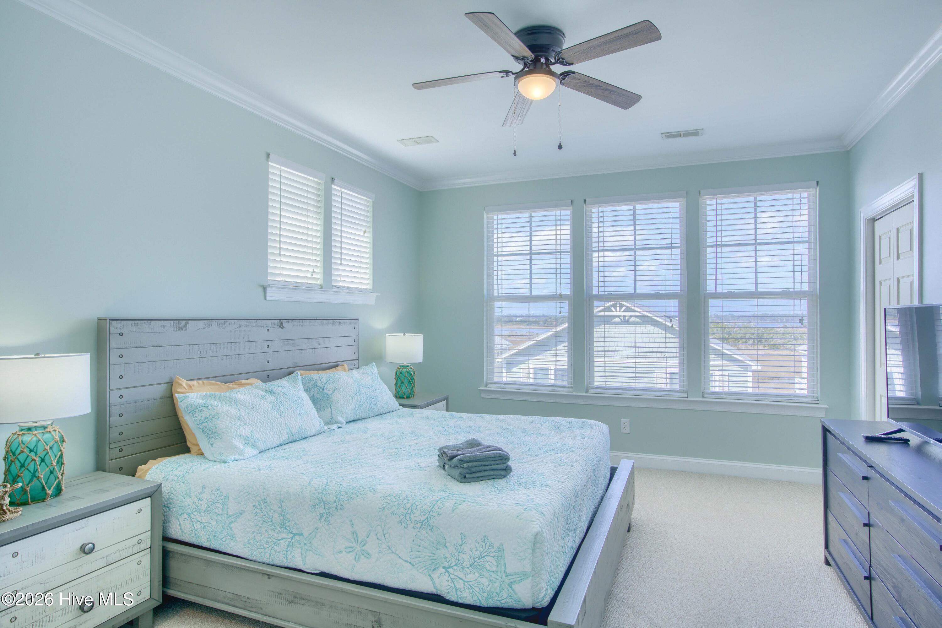 100558163 | Photo 16