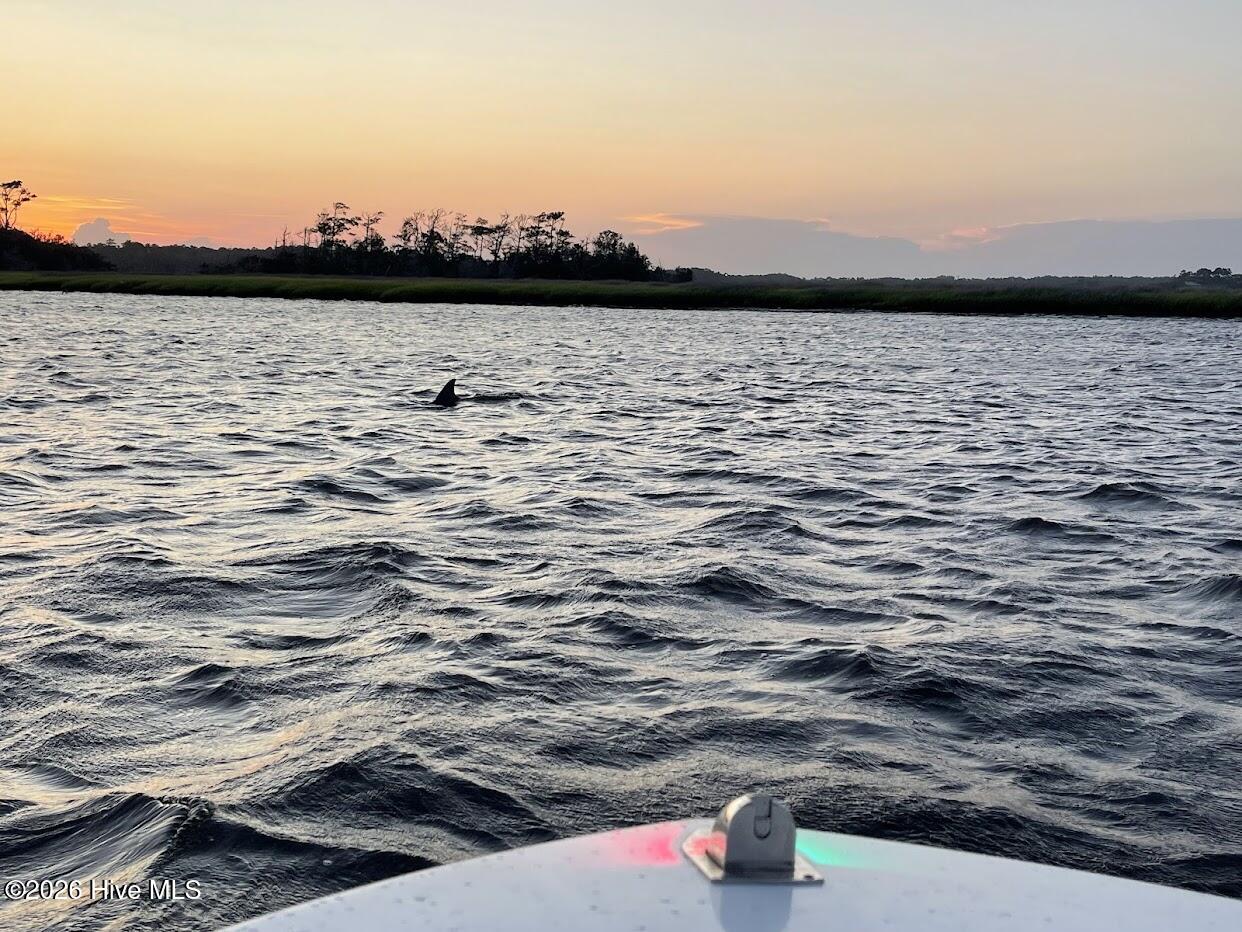 100553475 | Photo 70