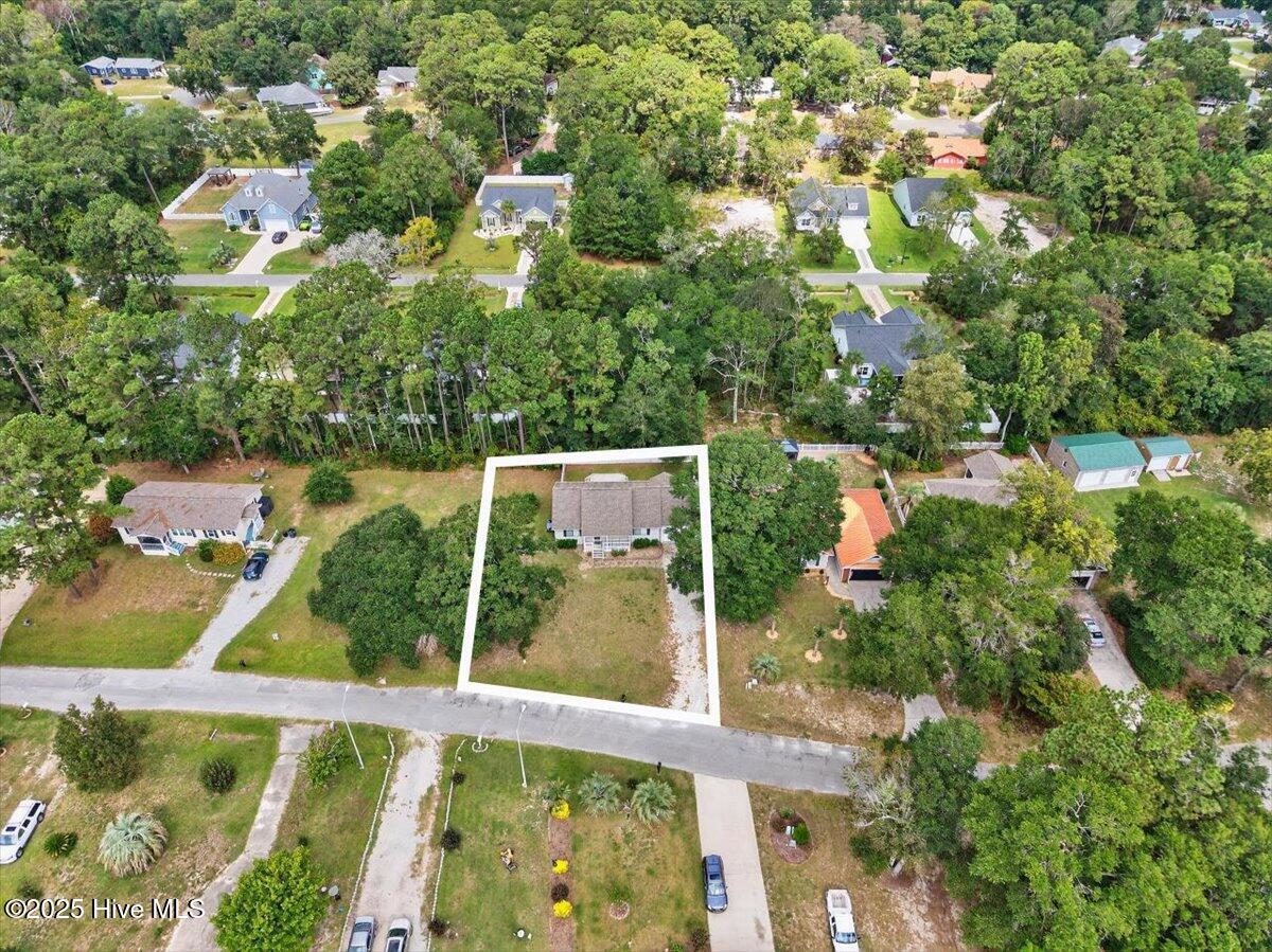 100531435 | Photo 48