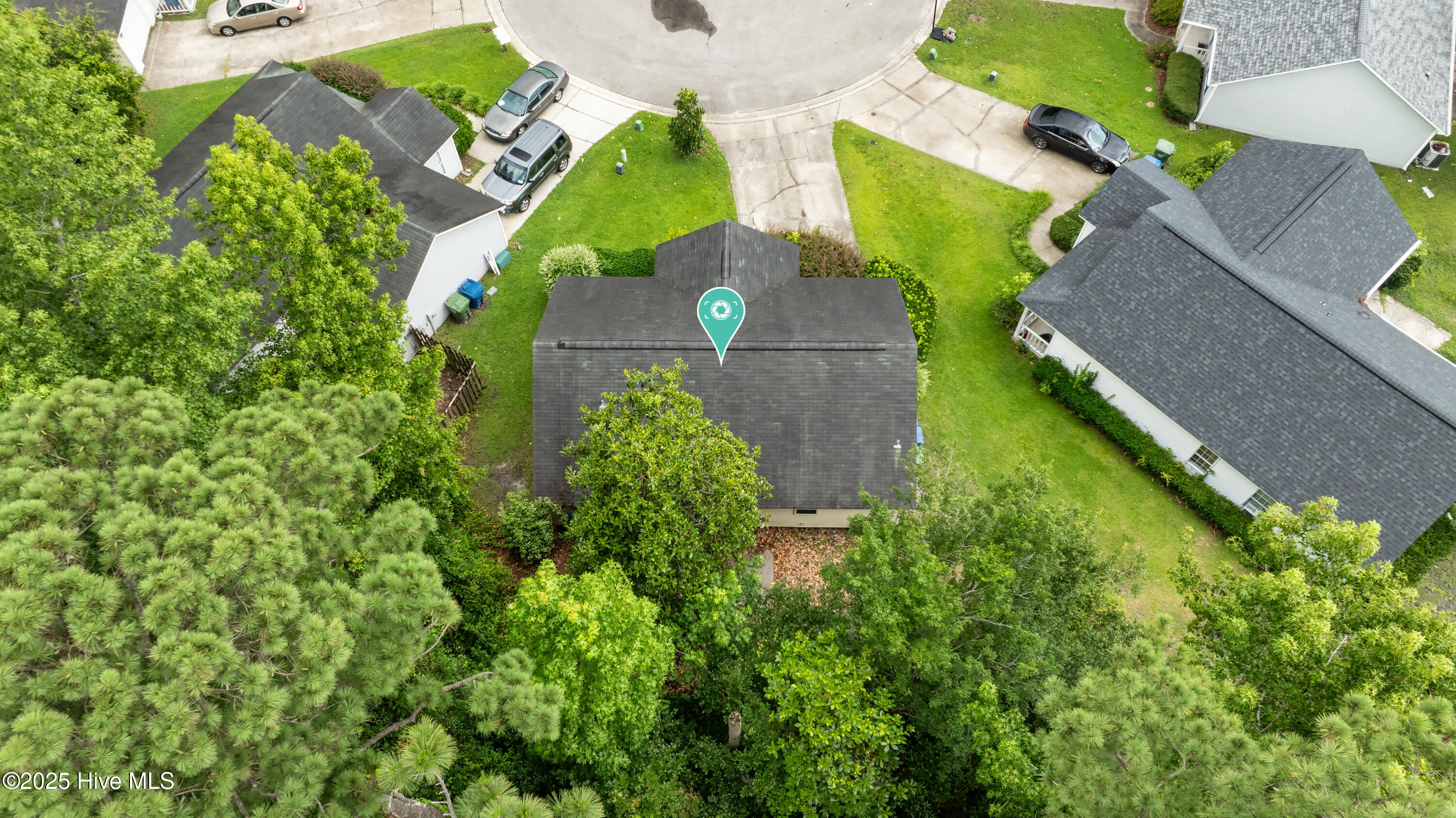 100517859 | Photo 32