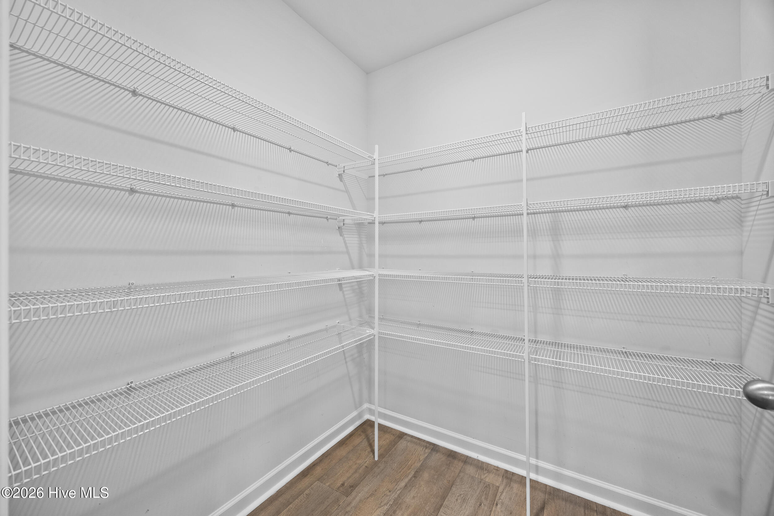 100556435 | Photo 15