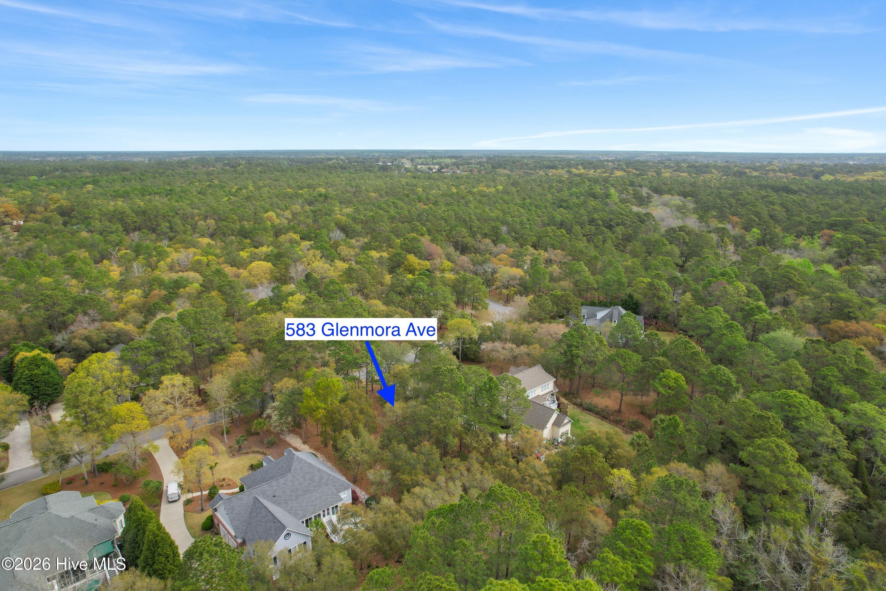 100565243 | Photo 17