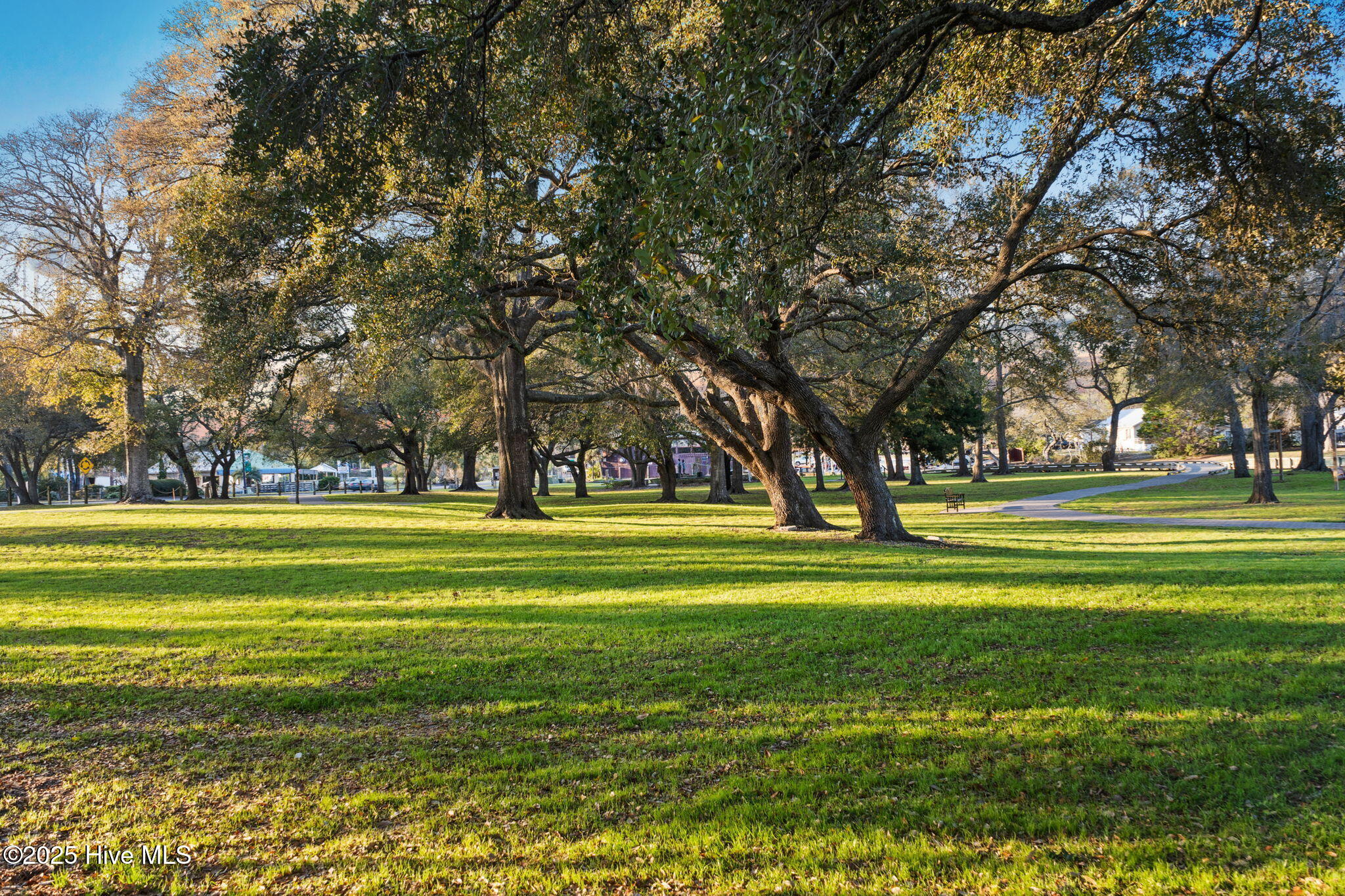 100547608 | Photo 38