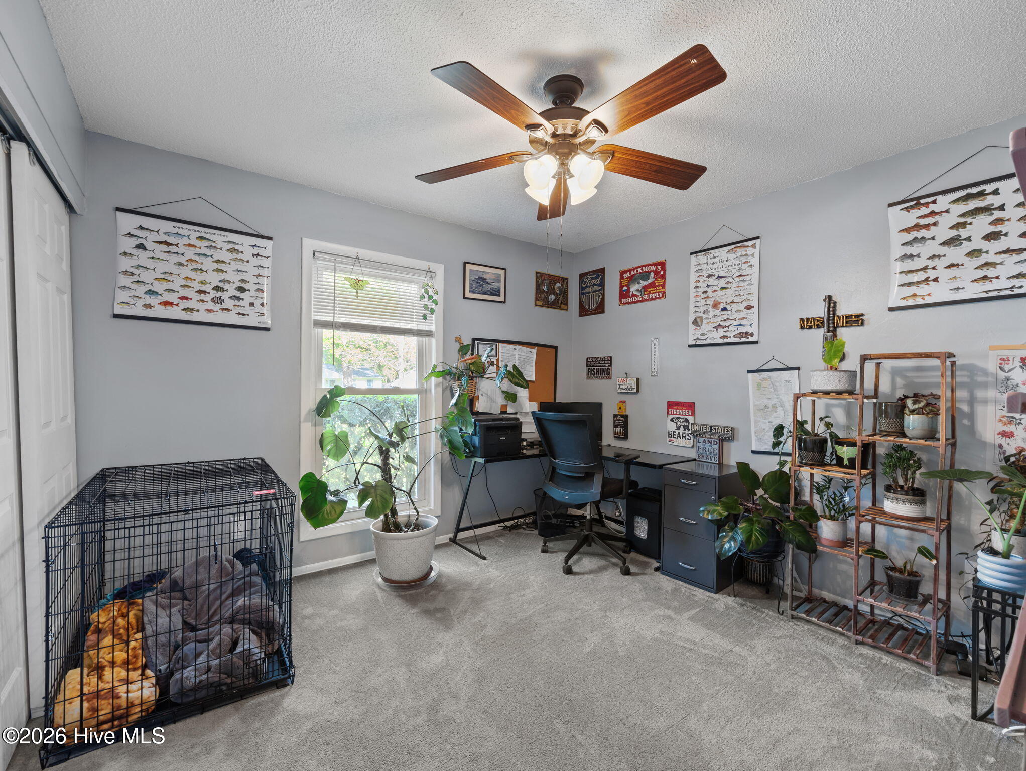 100567245 | Photo 27