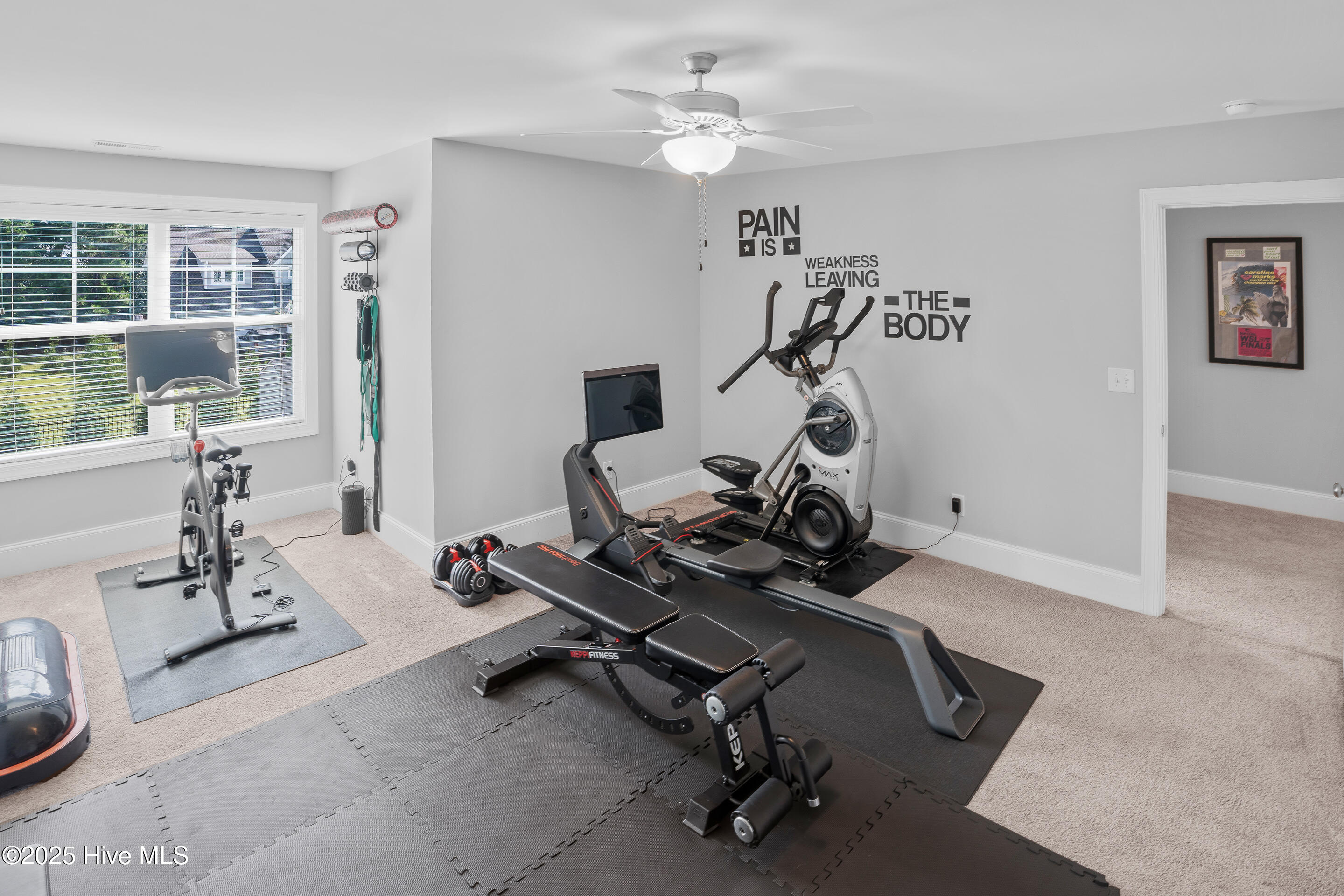 100546776 | Photo 47