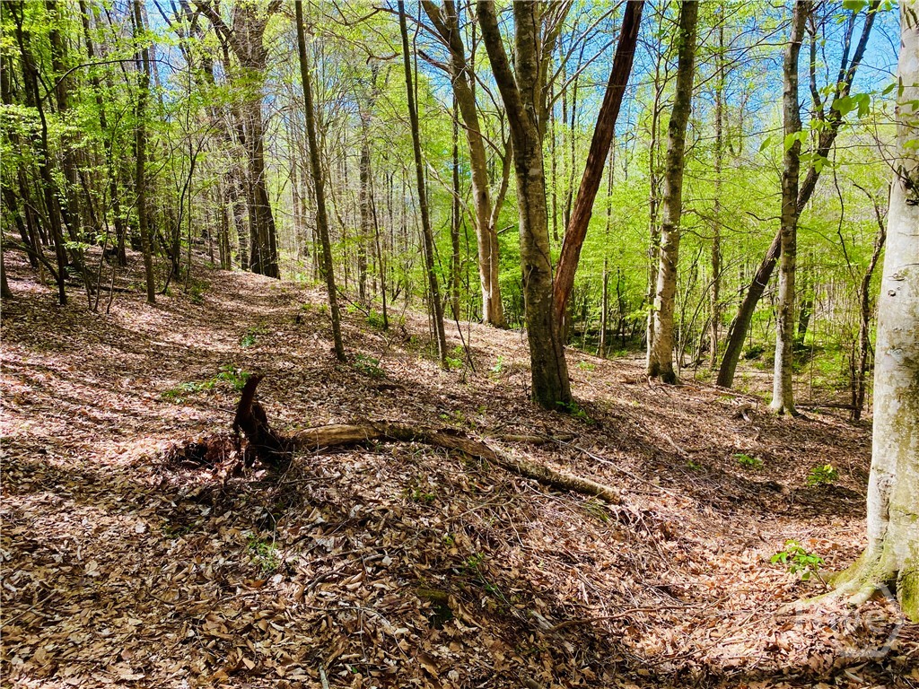 2B Curry Falls Trail Road UNIT 2B, Athens, GA, 30607