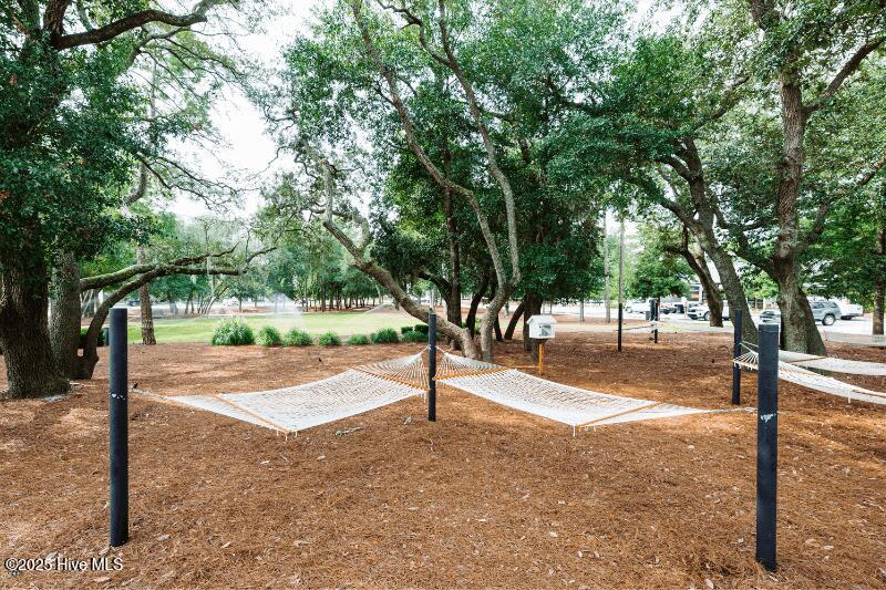 100557936 | Photo 55