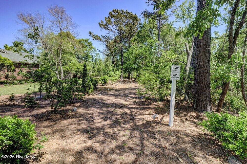 100550576 | Photo 66