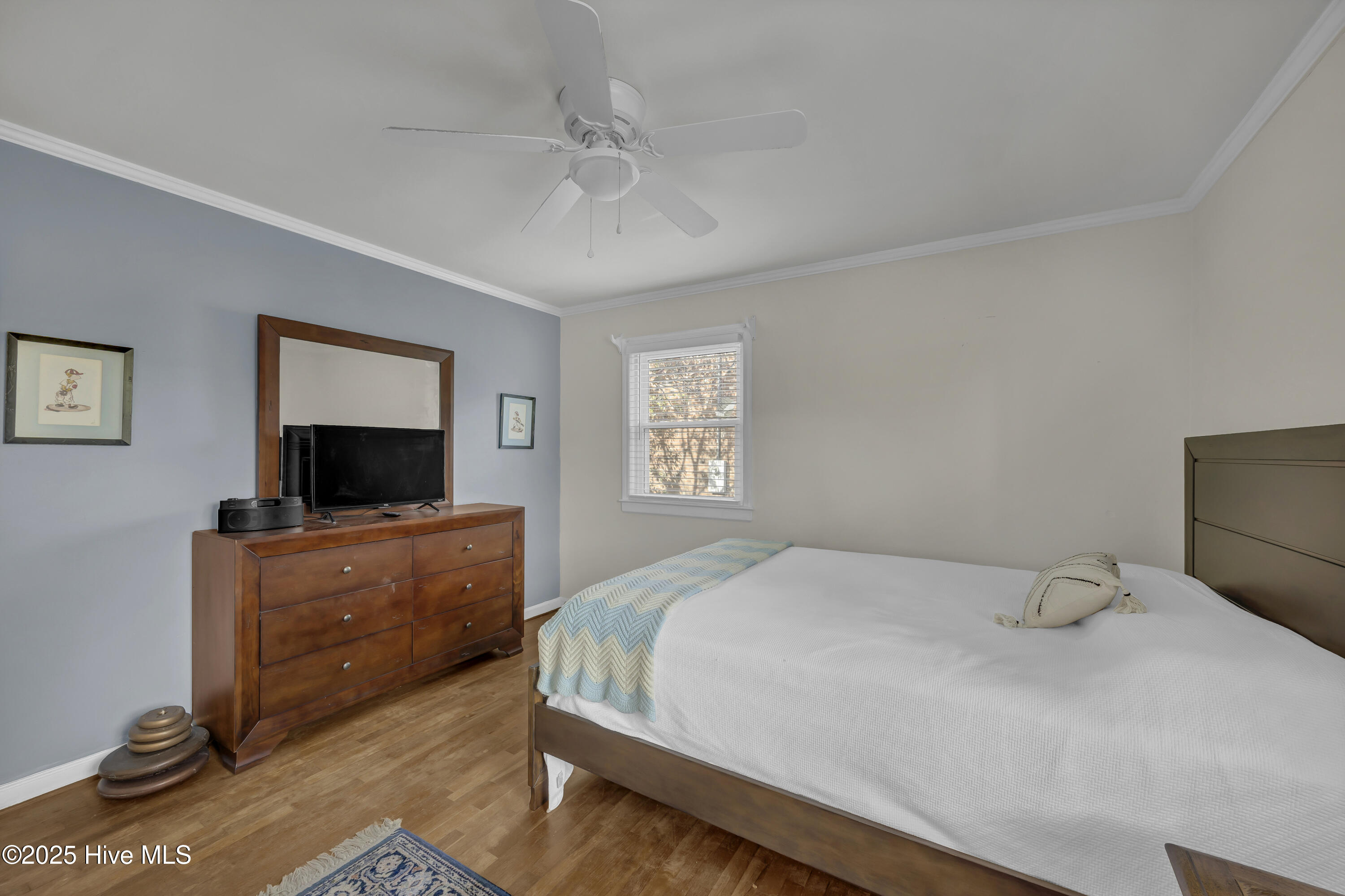 100541737 | Photo 23