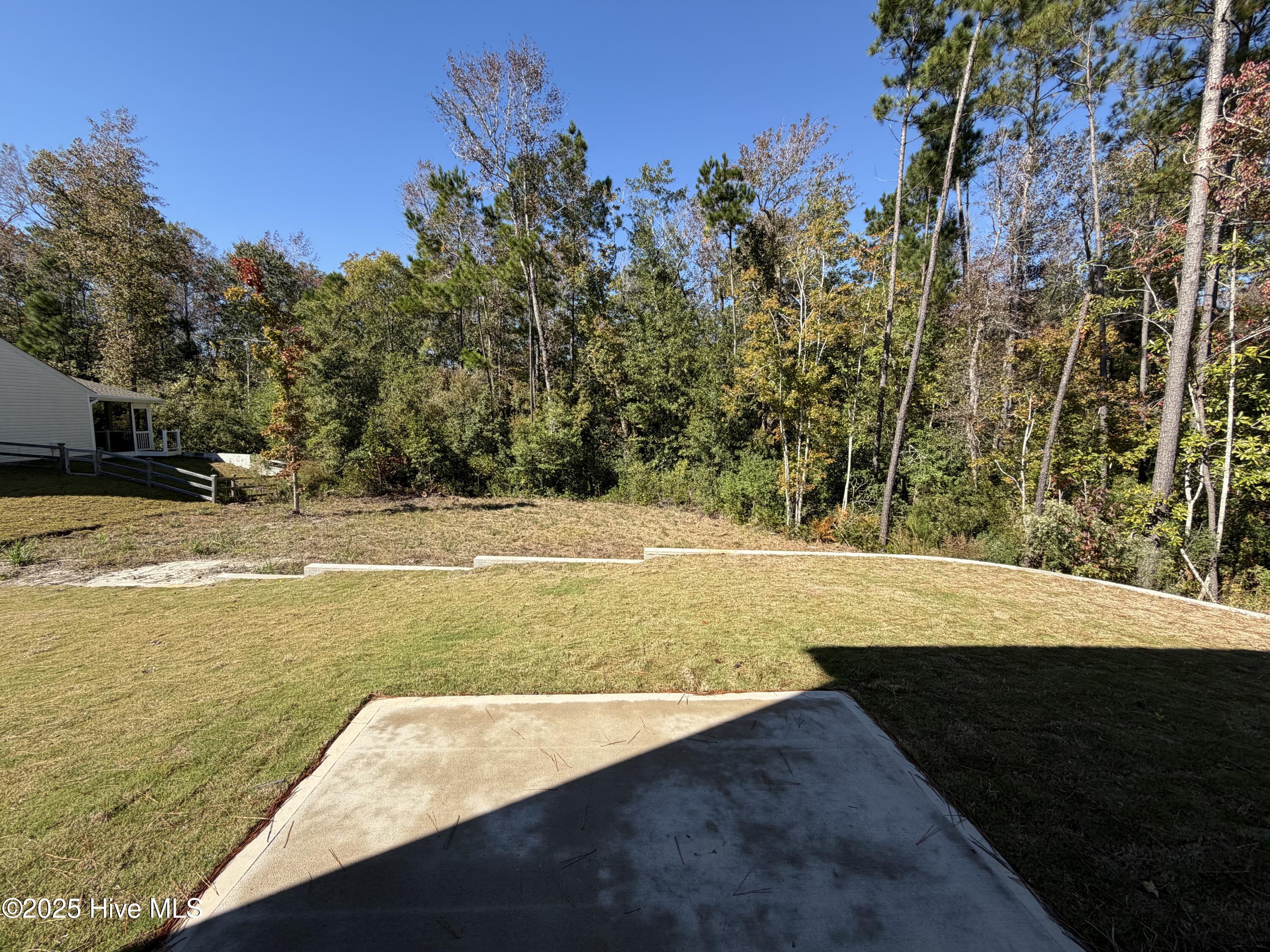 100525999 | Photo 10