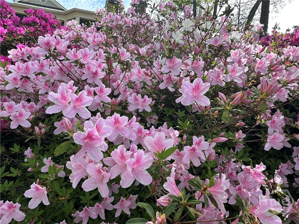 711 Bluff Road, Statham, GA, 30666