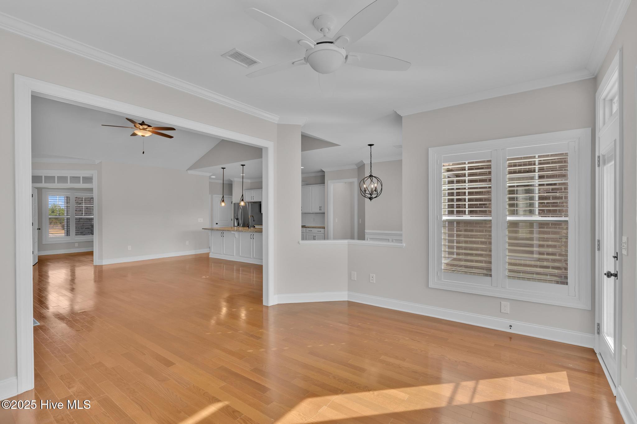 100542823 | Photo 26