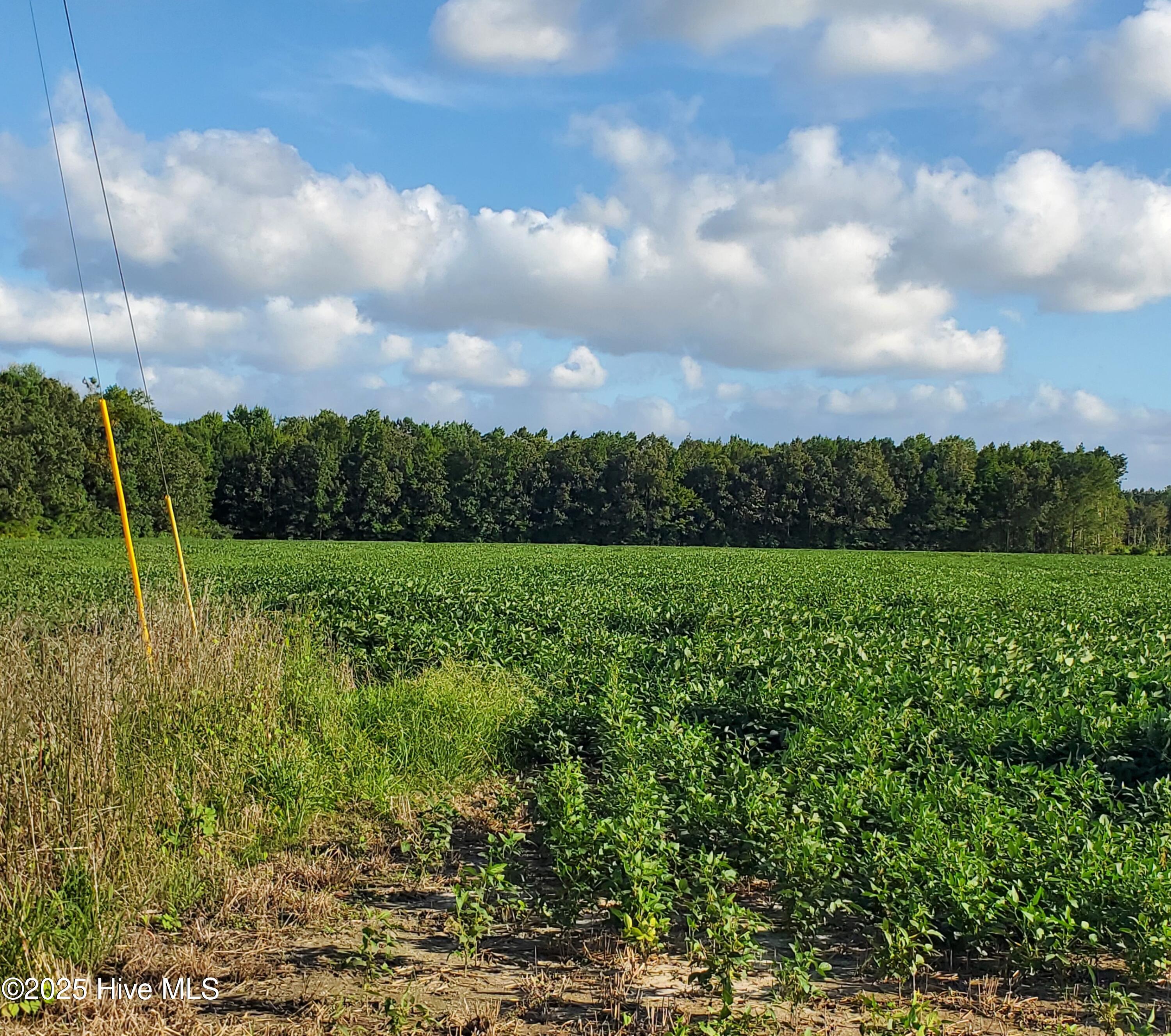 00000 Deep Creek Road, Hertford, NC, 27944