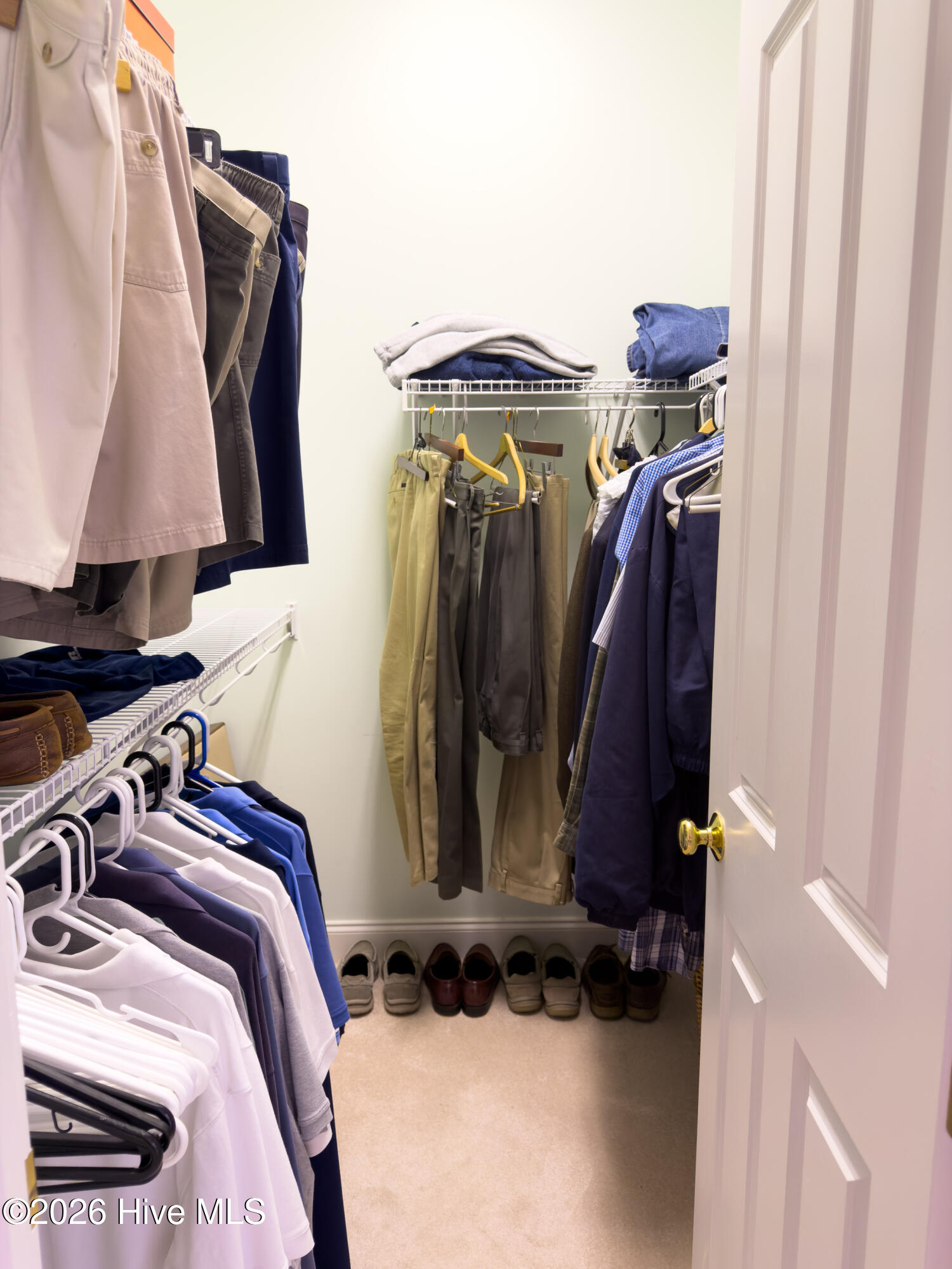 100568595 | Photo 29