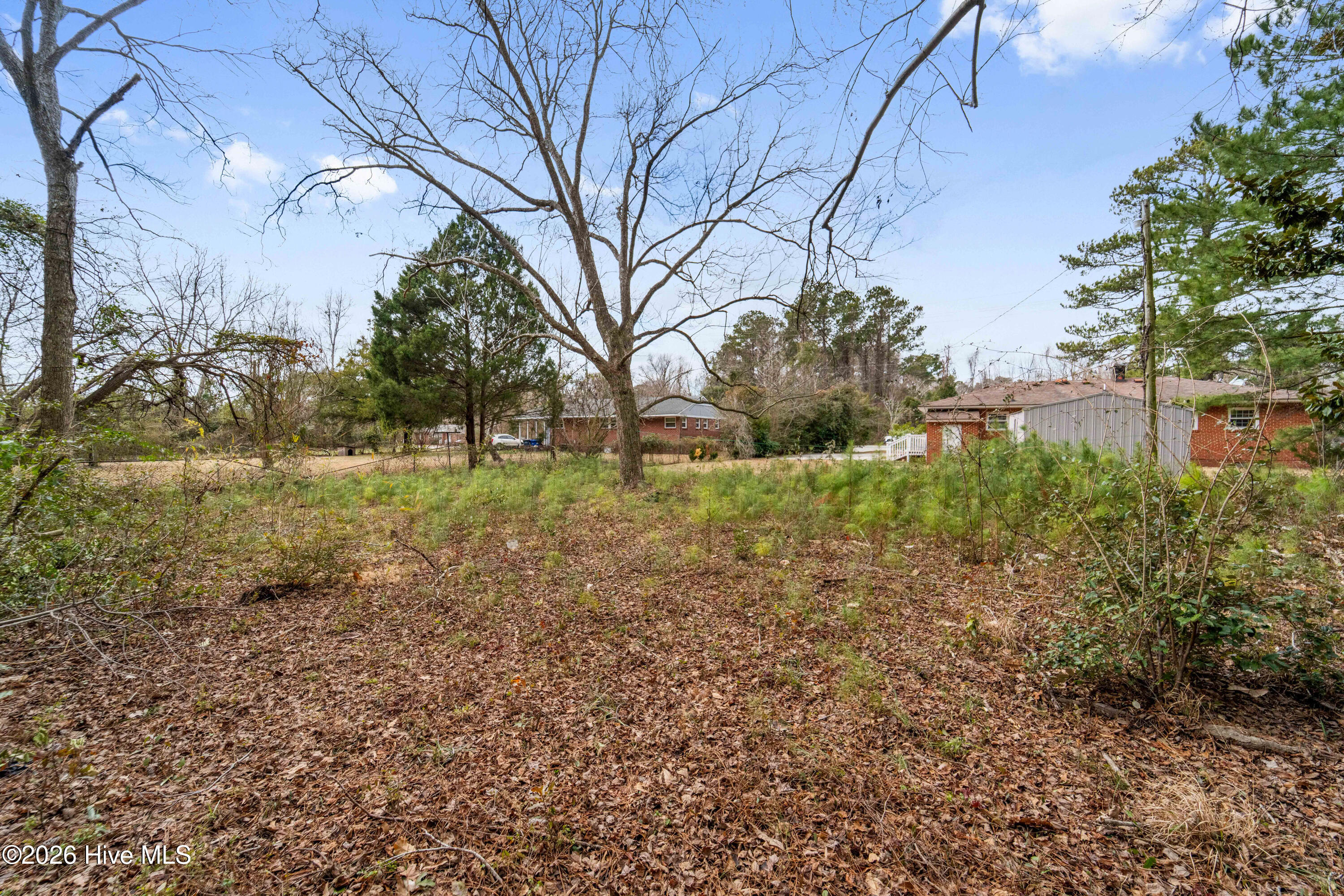 100557245 | Photo 33