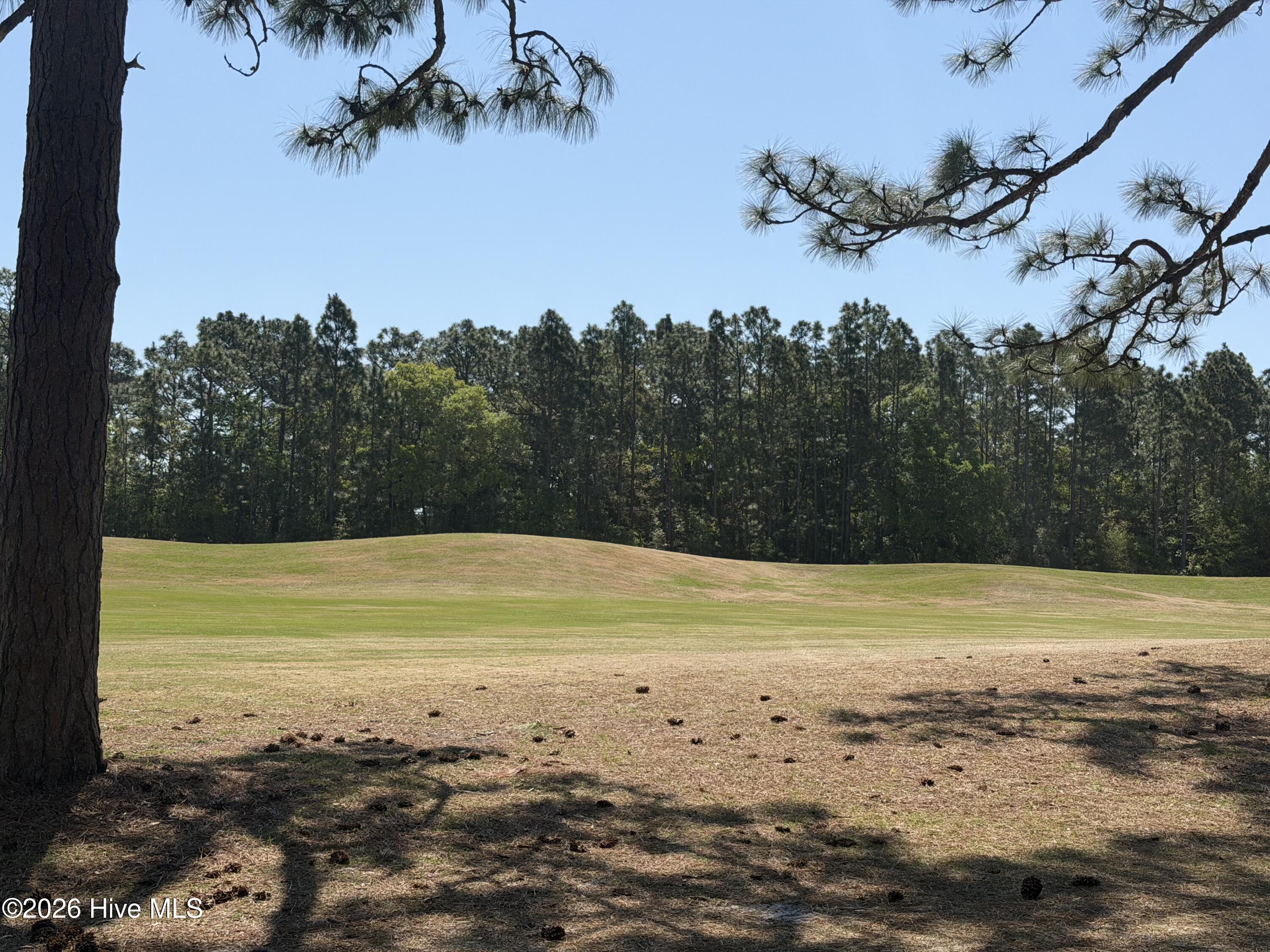 100568393 | Photo 65