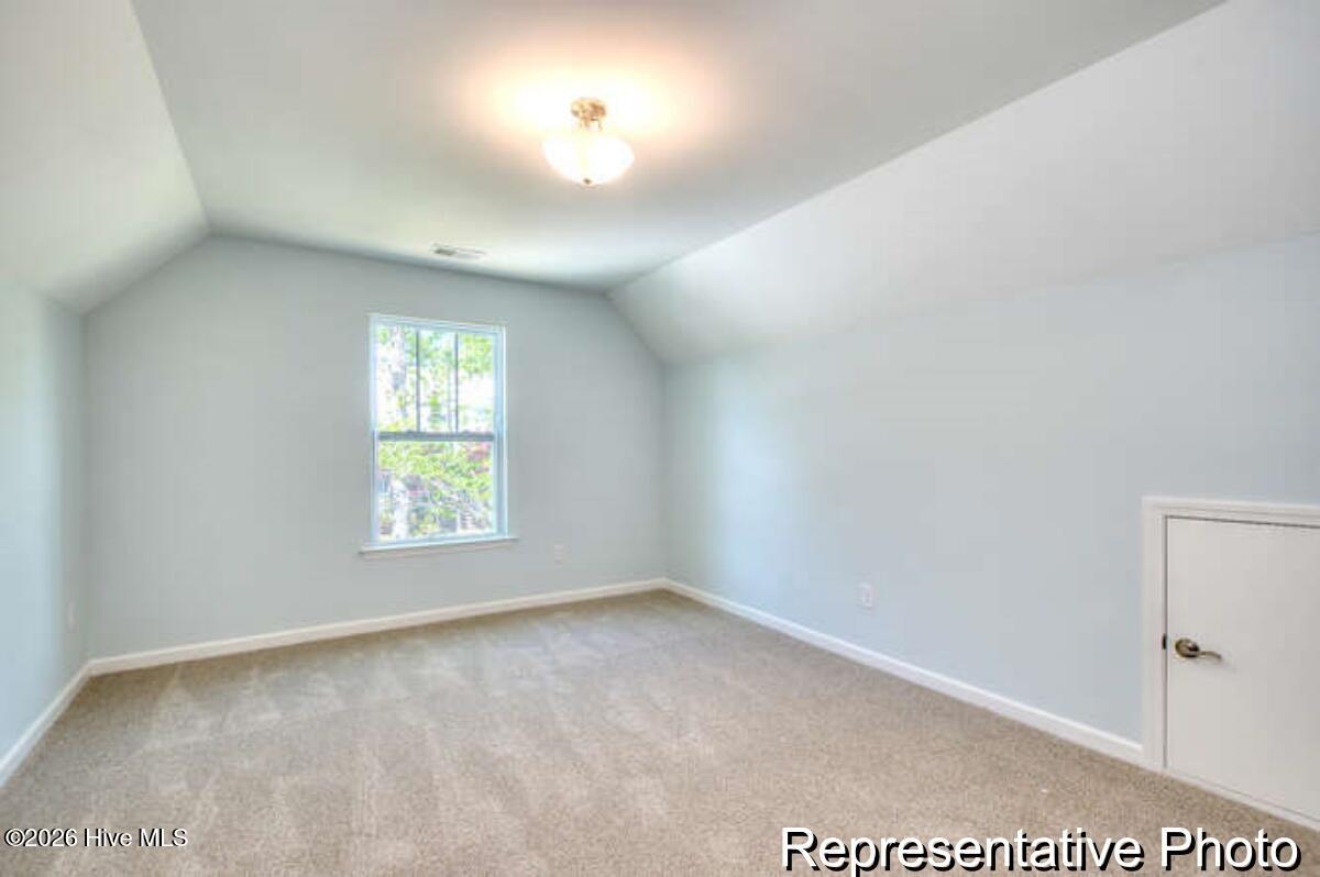 100563715 | Photo 33