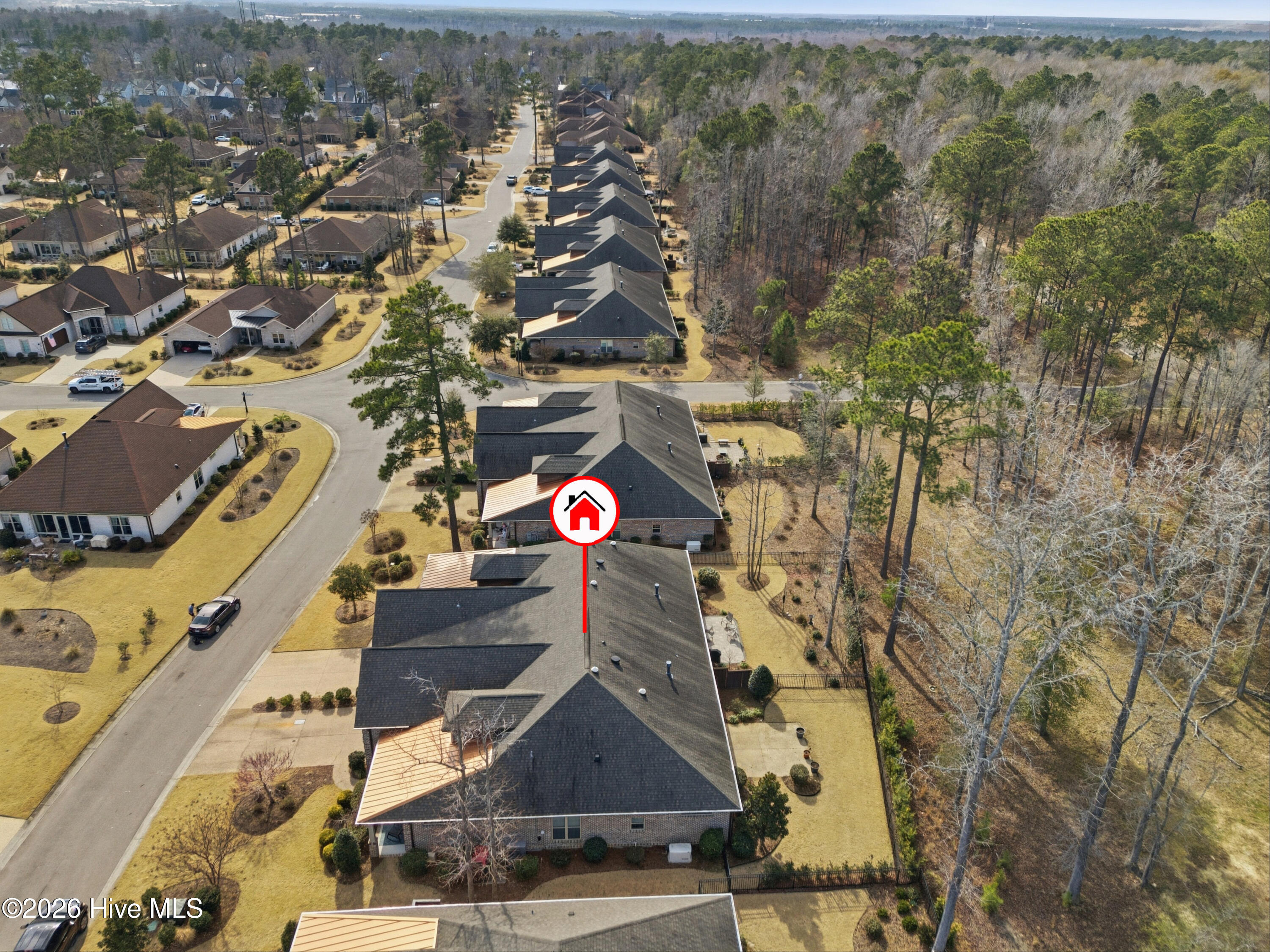 100558541 | Photo 64