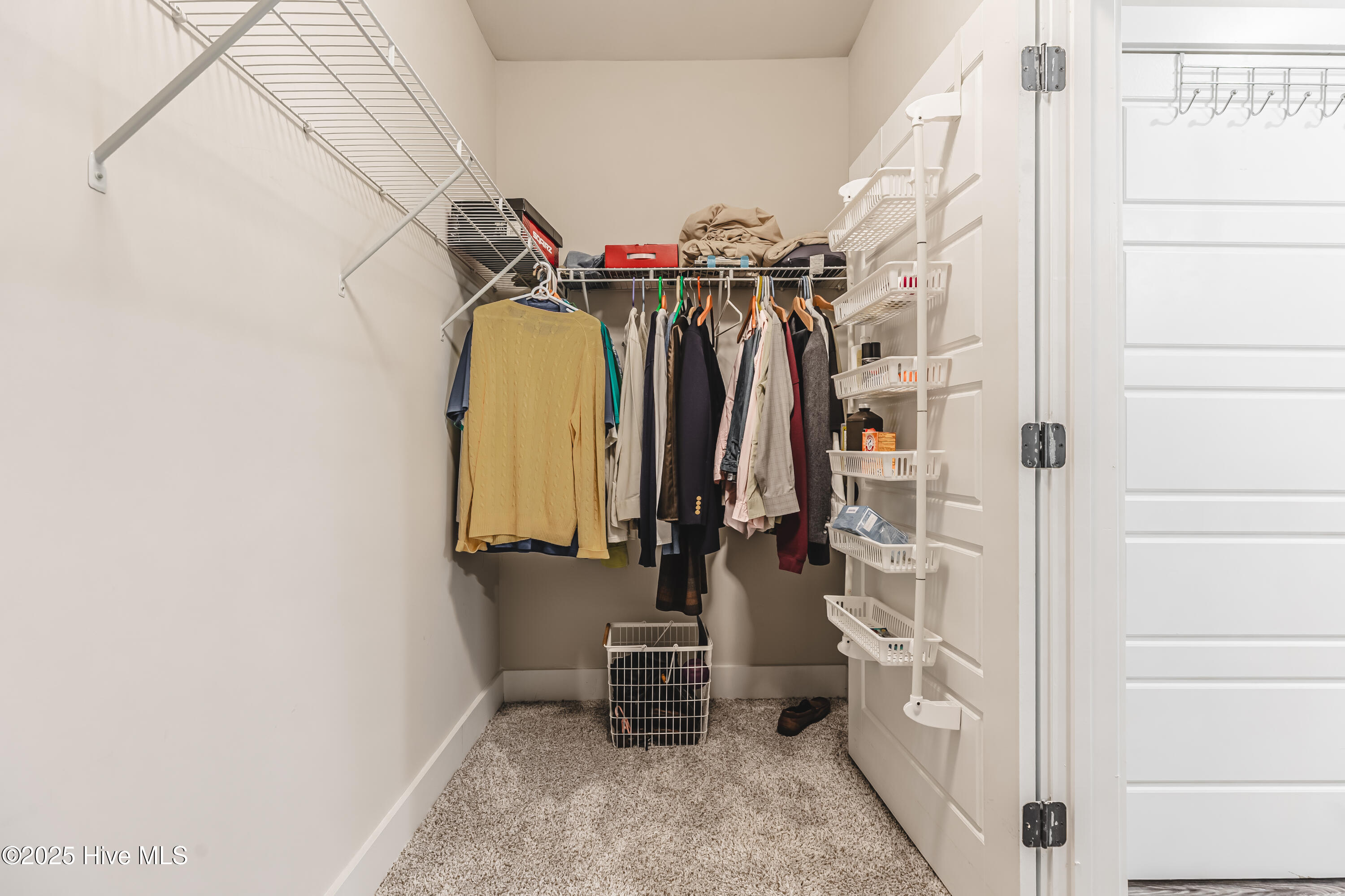 100552451 | Photo 19