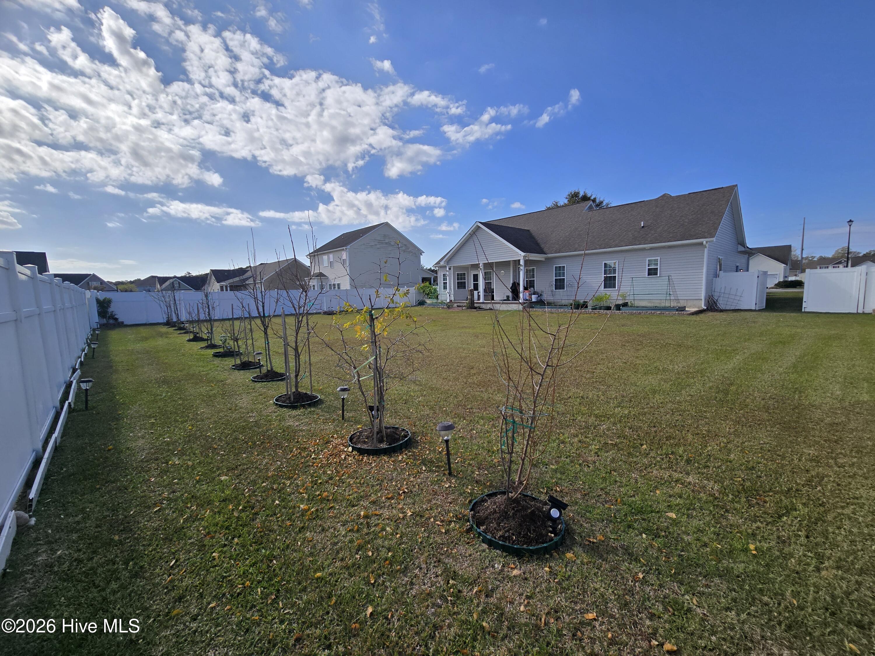 100549826 | Photo 24