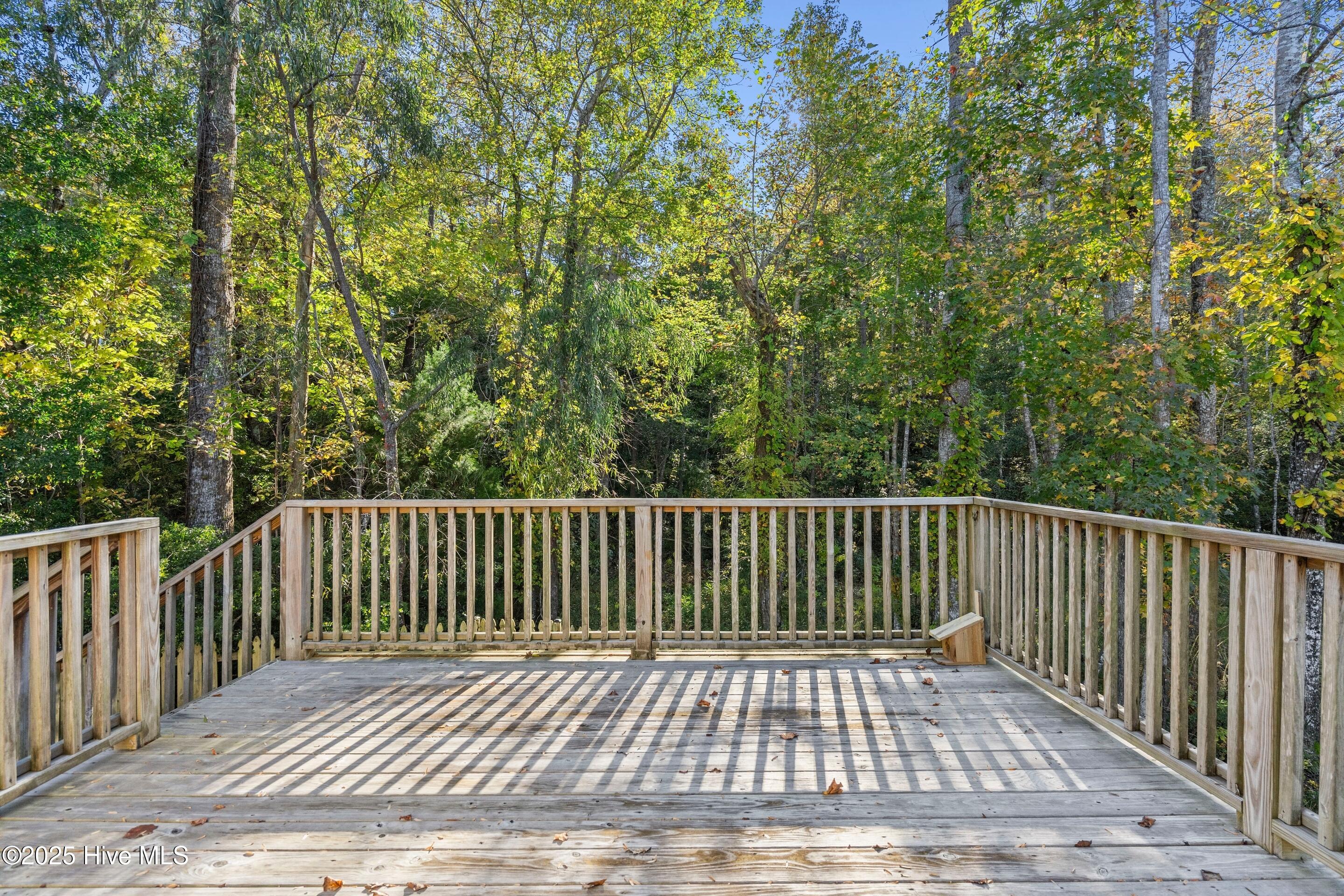 100536382 | Photo 42