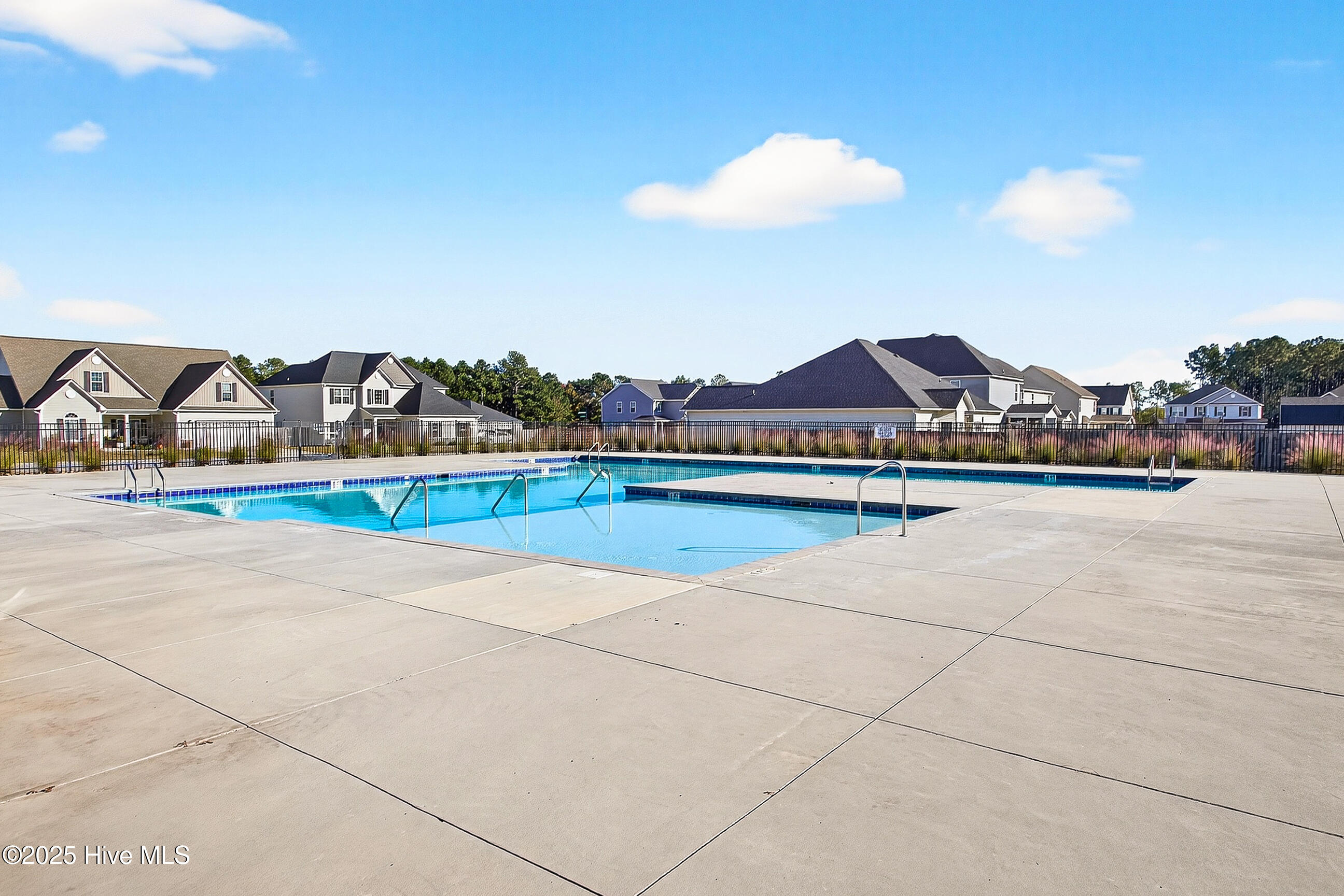 100539919 | Photo 46